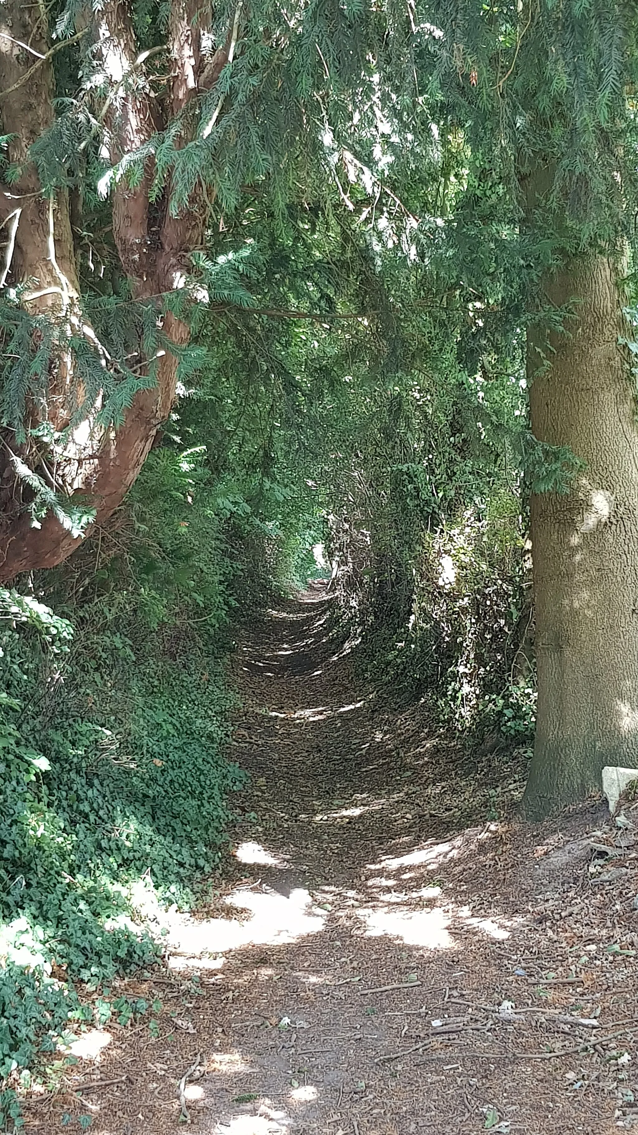 Photo showing: Pastoorsteeg gezien vanaf de Sint-Bertiliabron (Rosmeerstraat), Rosmeer, Bilzen, België