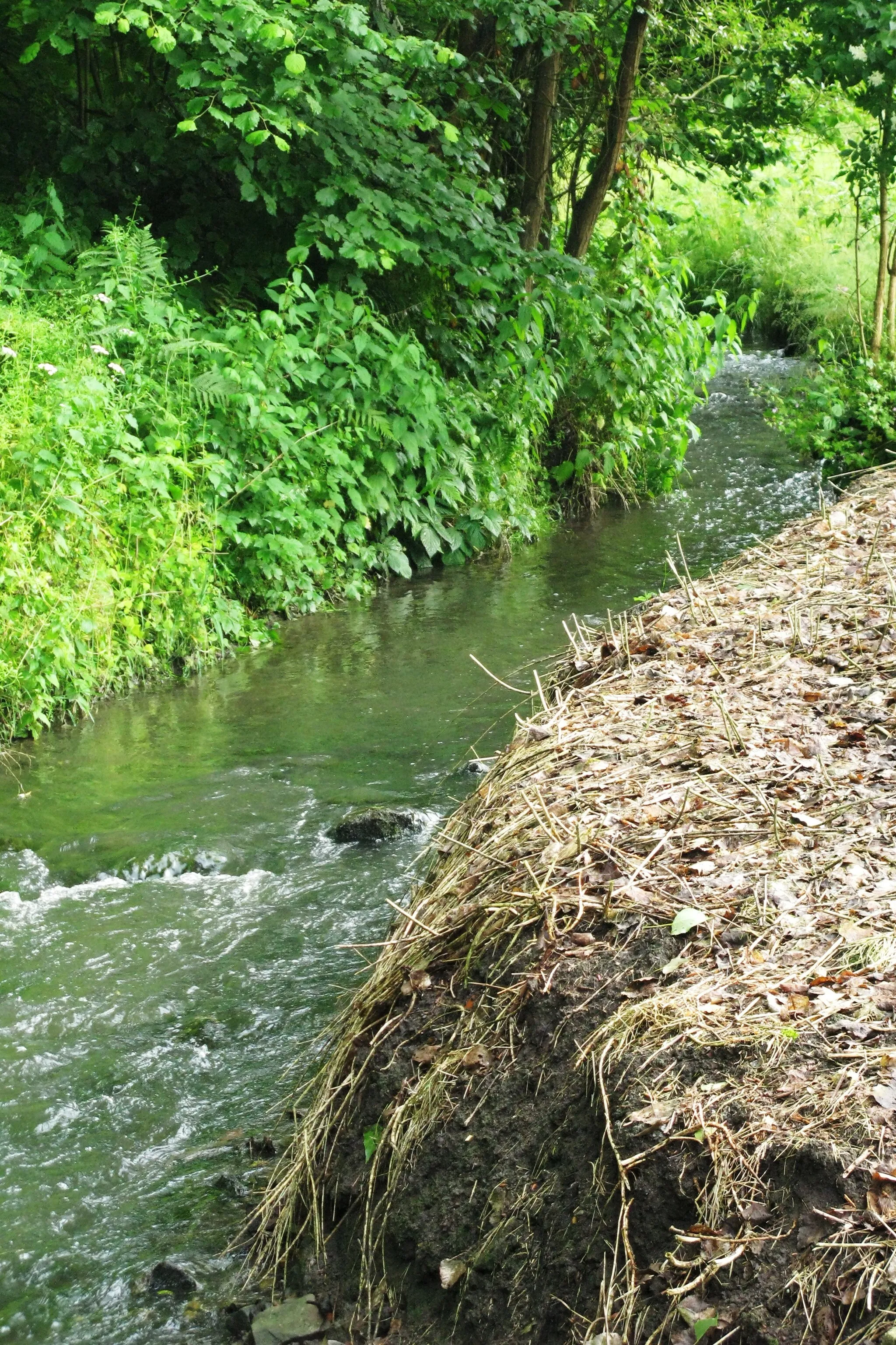 Photo showing: La Julienne au Fond de Legipont