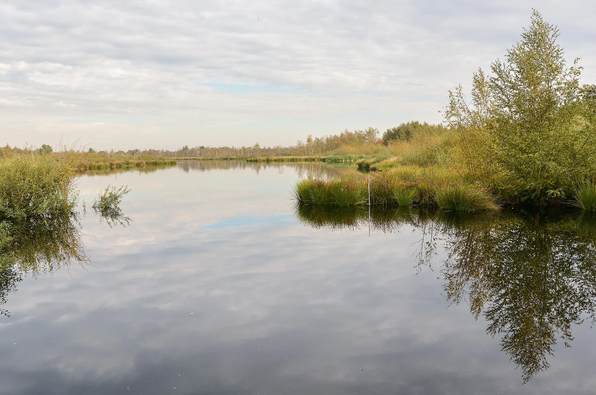 Photo showing: Landscape at De Groote Peel National Park (Netherlands) with pond Meerbaansblaak