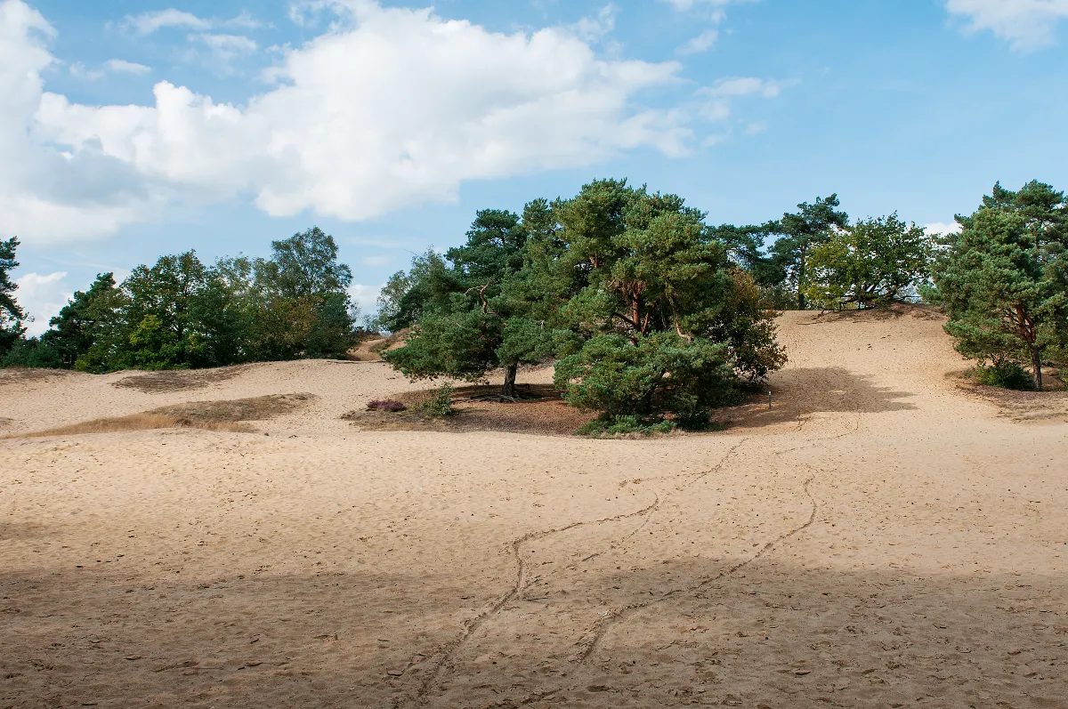 Photo showing: Zicht op de Oudsberg