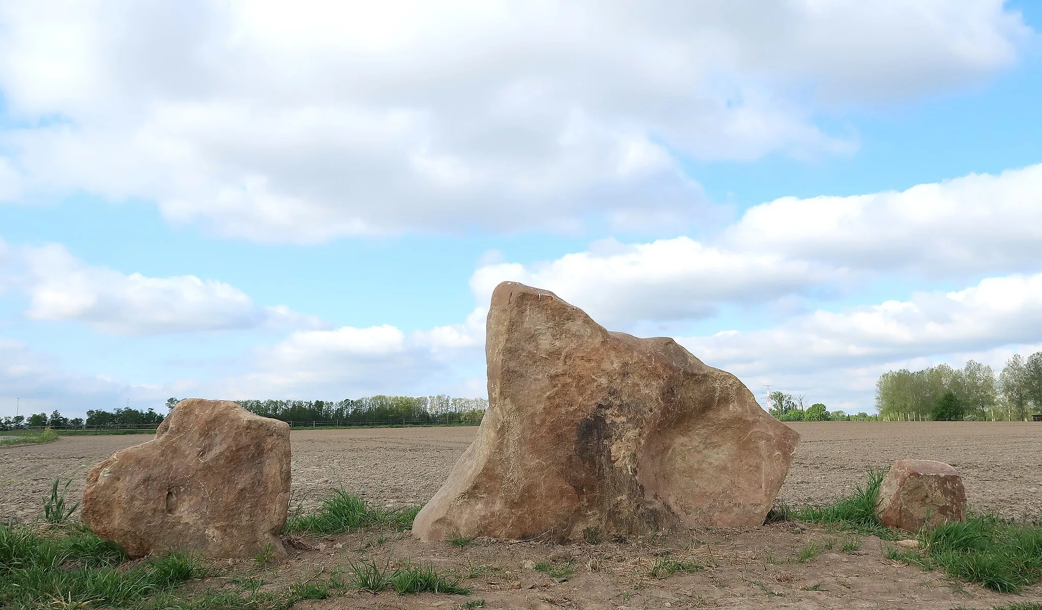 Photo showing: Orthoquartzite stones in Diepenbeek (Belgium)
