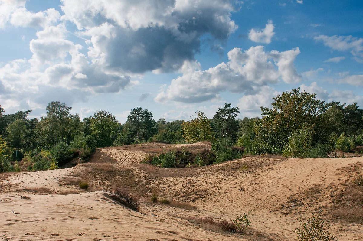 Photo showing: De omgeving van de Oudsberg