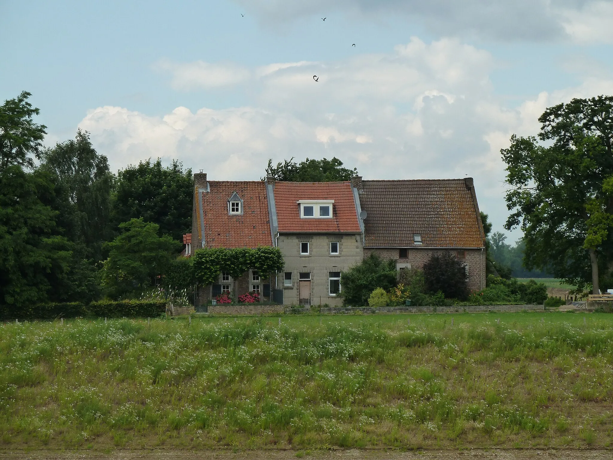 Photo showing: Weerterhof, Meers, Stein, Limburg, Nederland