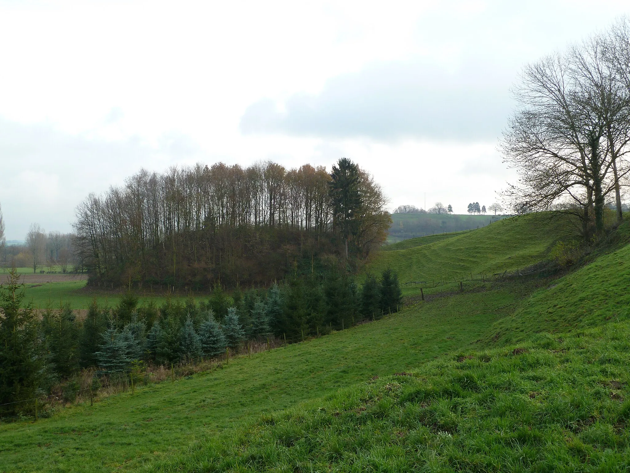 Photo showing: The motte Gracht Burggraaf, near Gulpen, Limburg, the Netherlands