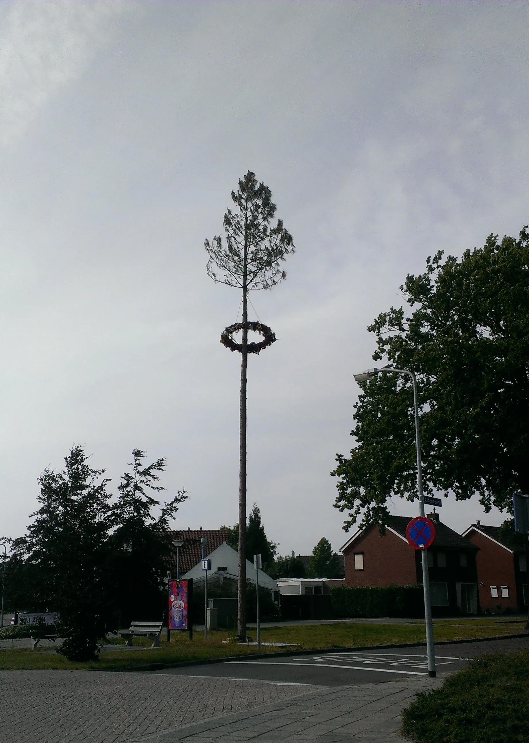 Photo showing: Meiboom op de kruising van de Laarderweg, Aldenheerd, Heugterbroekdijk en Rietstraat in Laar bij Weert, in juli 2017.