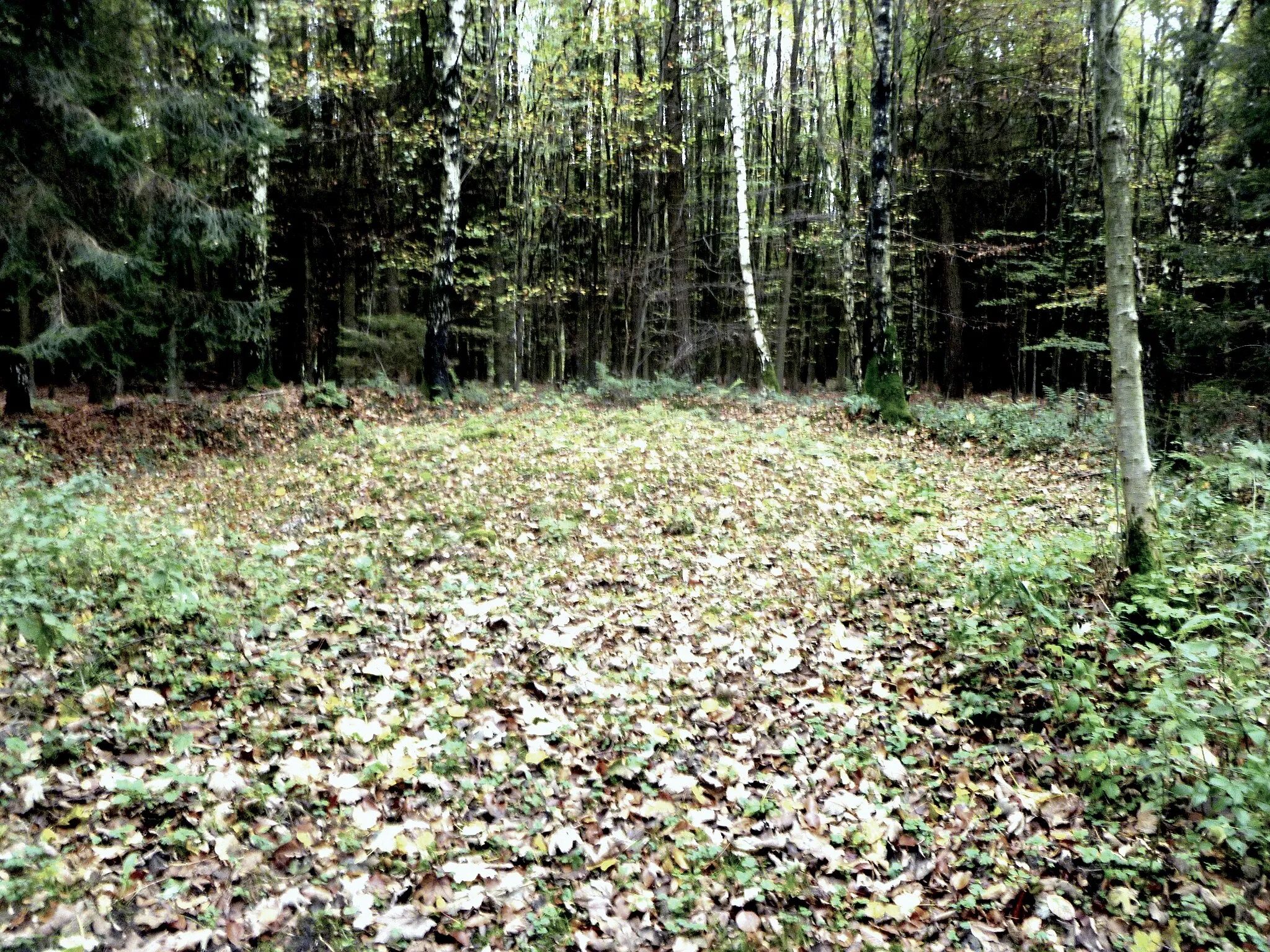 Photo showing: Hügelgrab Nummer II auf dem Klausbergweg im Aachener Wald