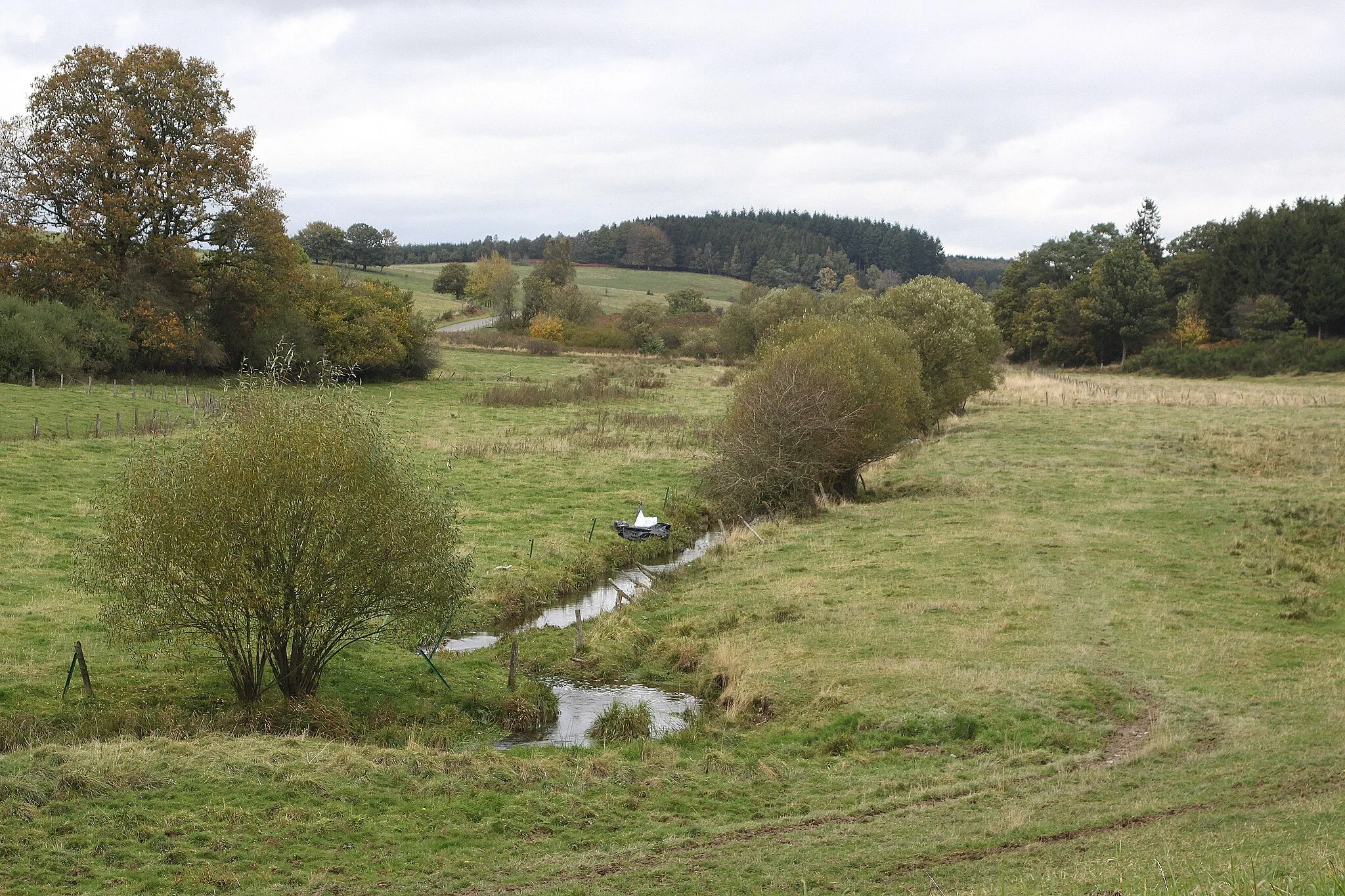 Photo showing: Mandebras bei Thibessar