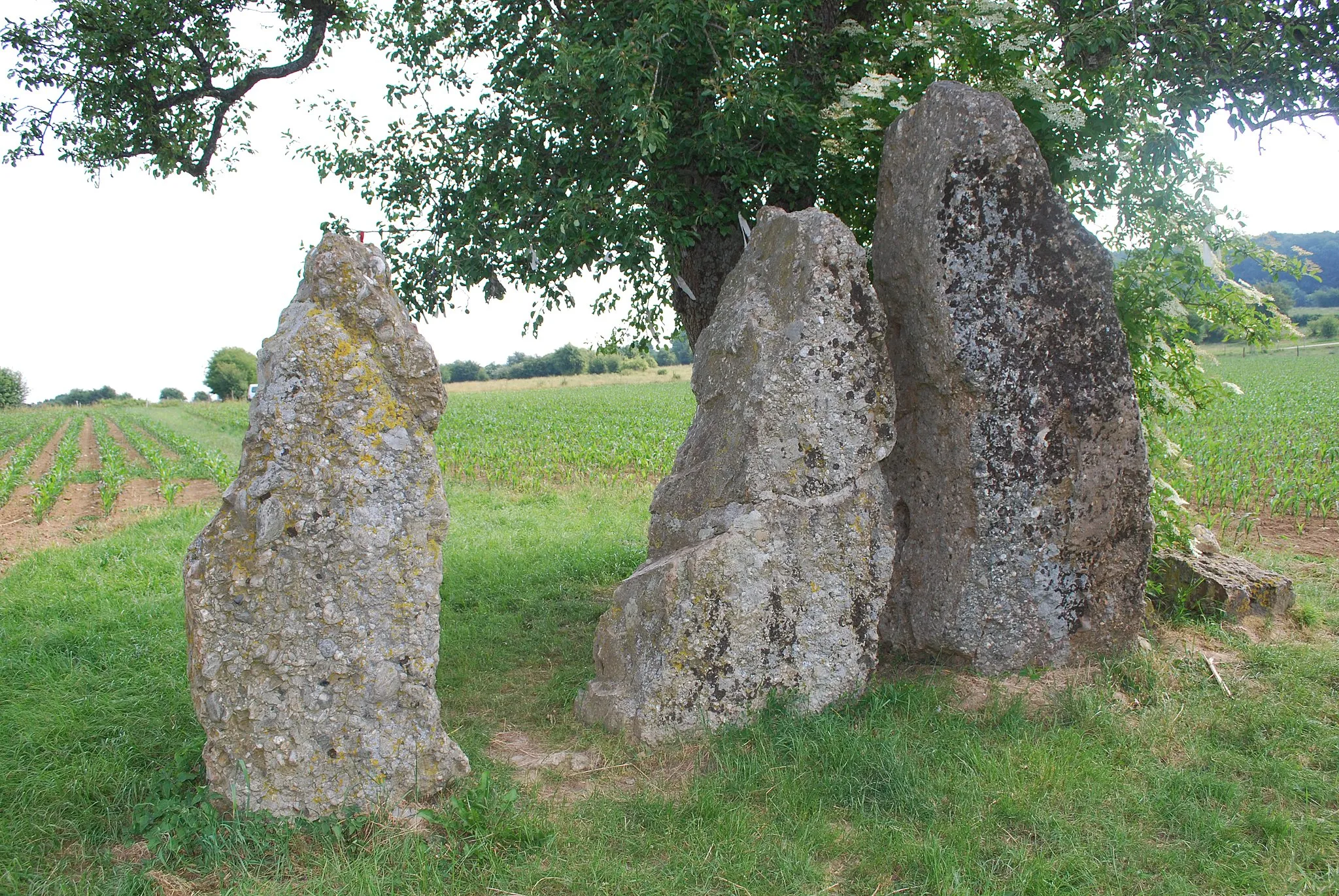 Photo showing: This is a photo of a monument in Wallonia, number: