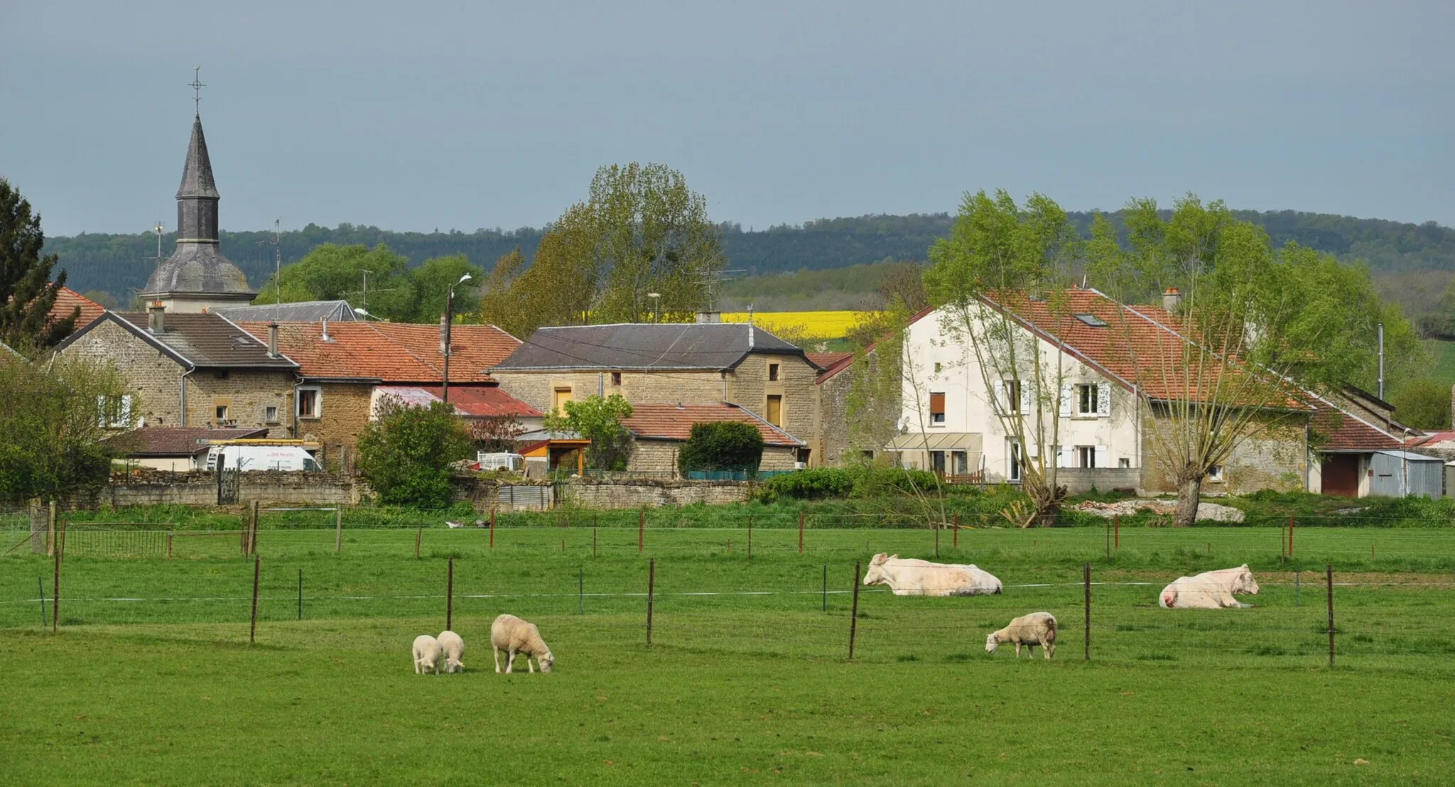 Photo showing: Zicht op La Ferté-sur-Chiers (departement Ardennes, Frankrijk).