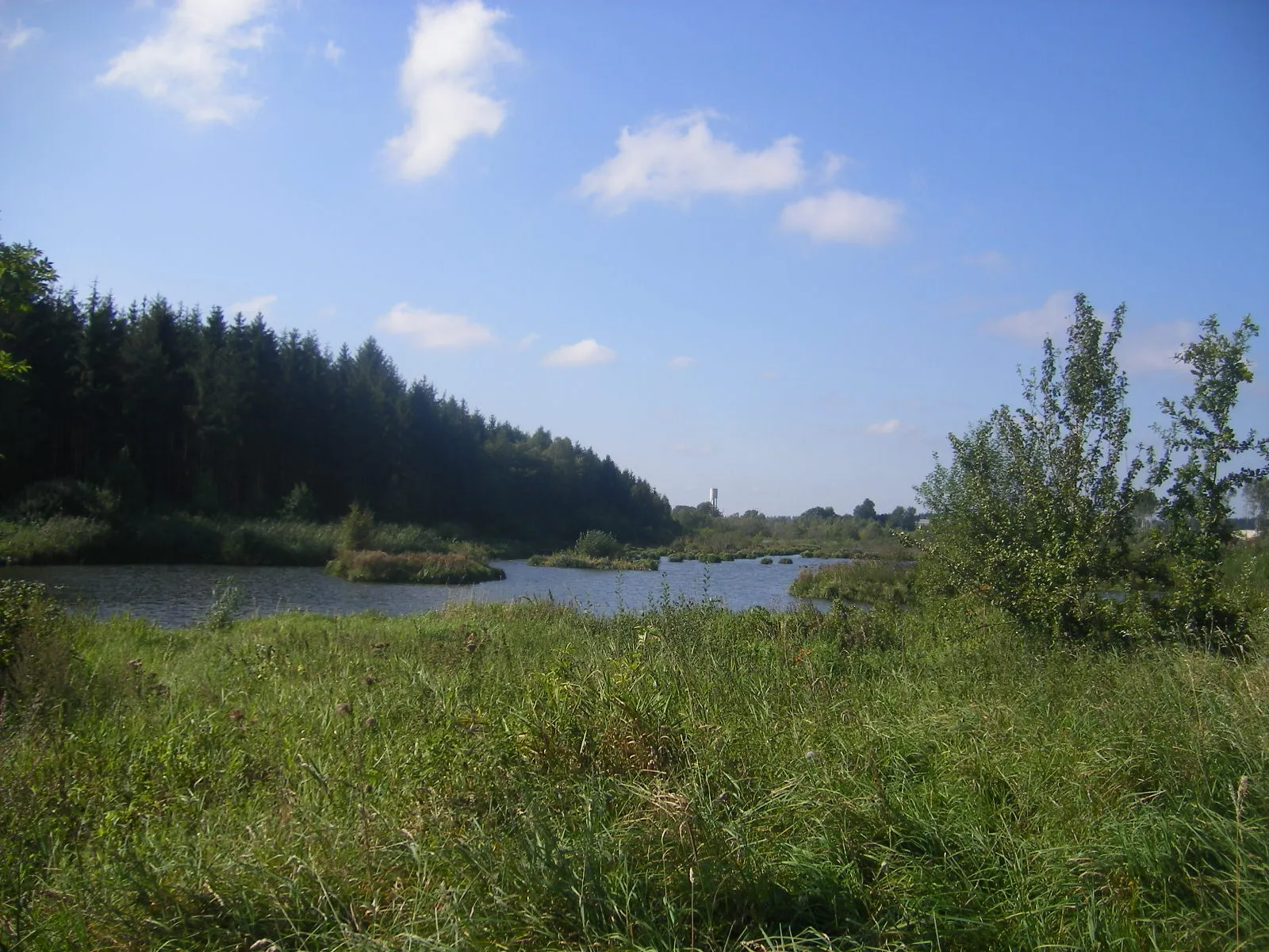 Photo showing: Landscape near Etalle (Luxembourg province)