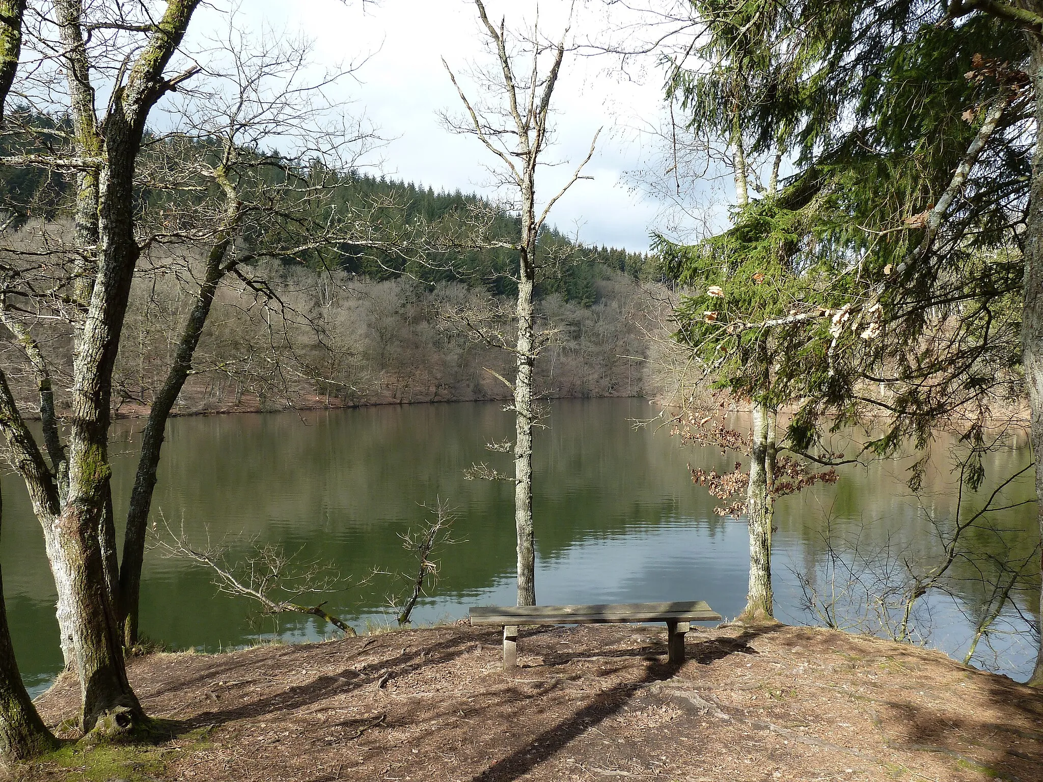 Photo showing: confluent des deux Ourthes, Engreux, Belgique