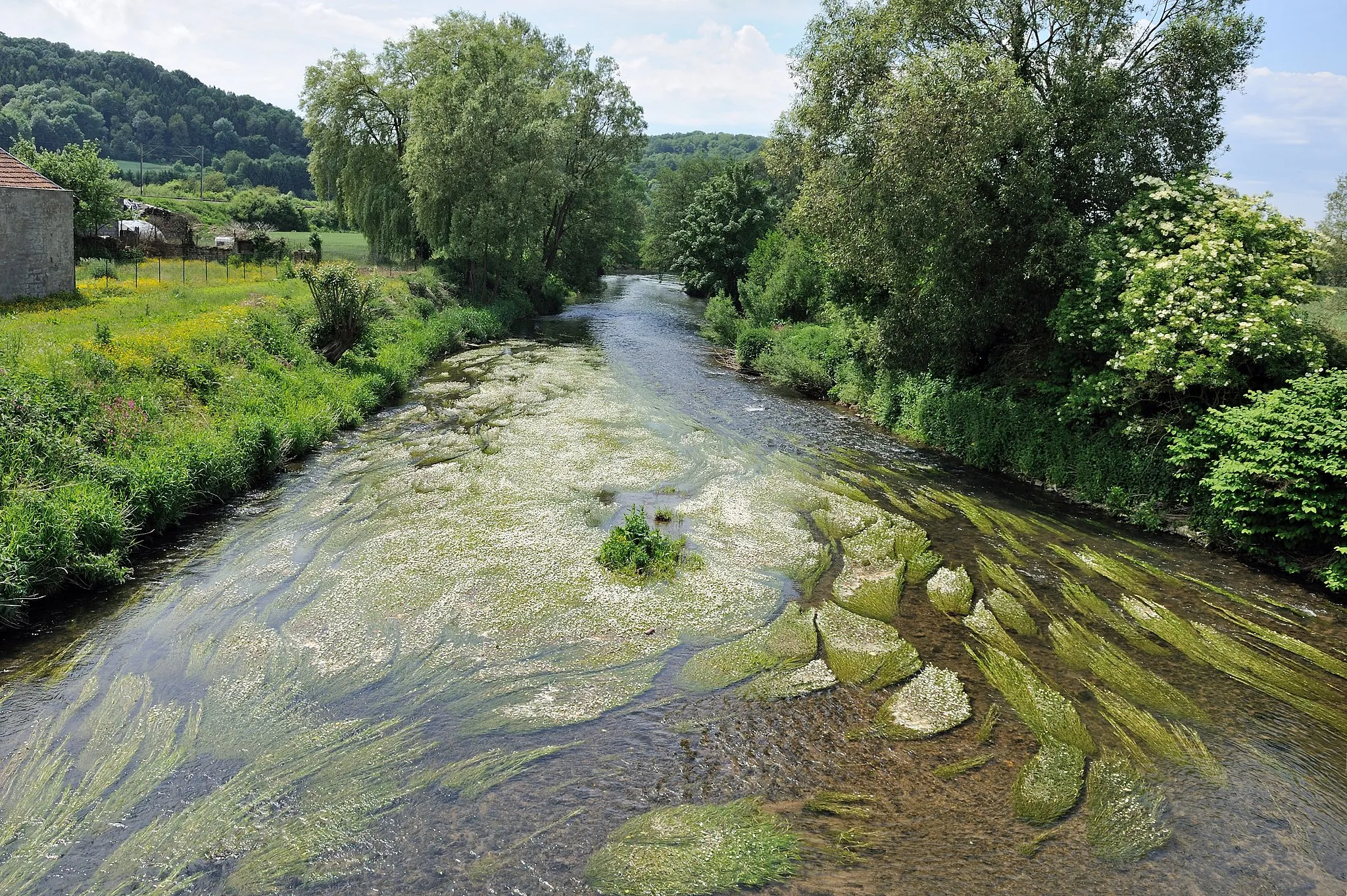 Photo showing: The river Chiers seen from the bridge that crosses the river at Charency-Vezin, department of Meurthe-et-Moselle, region of Lorraine (France)