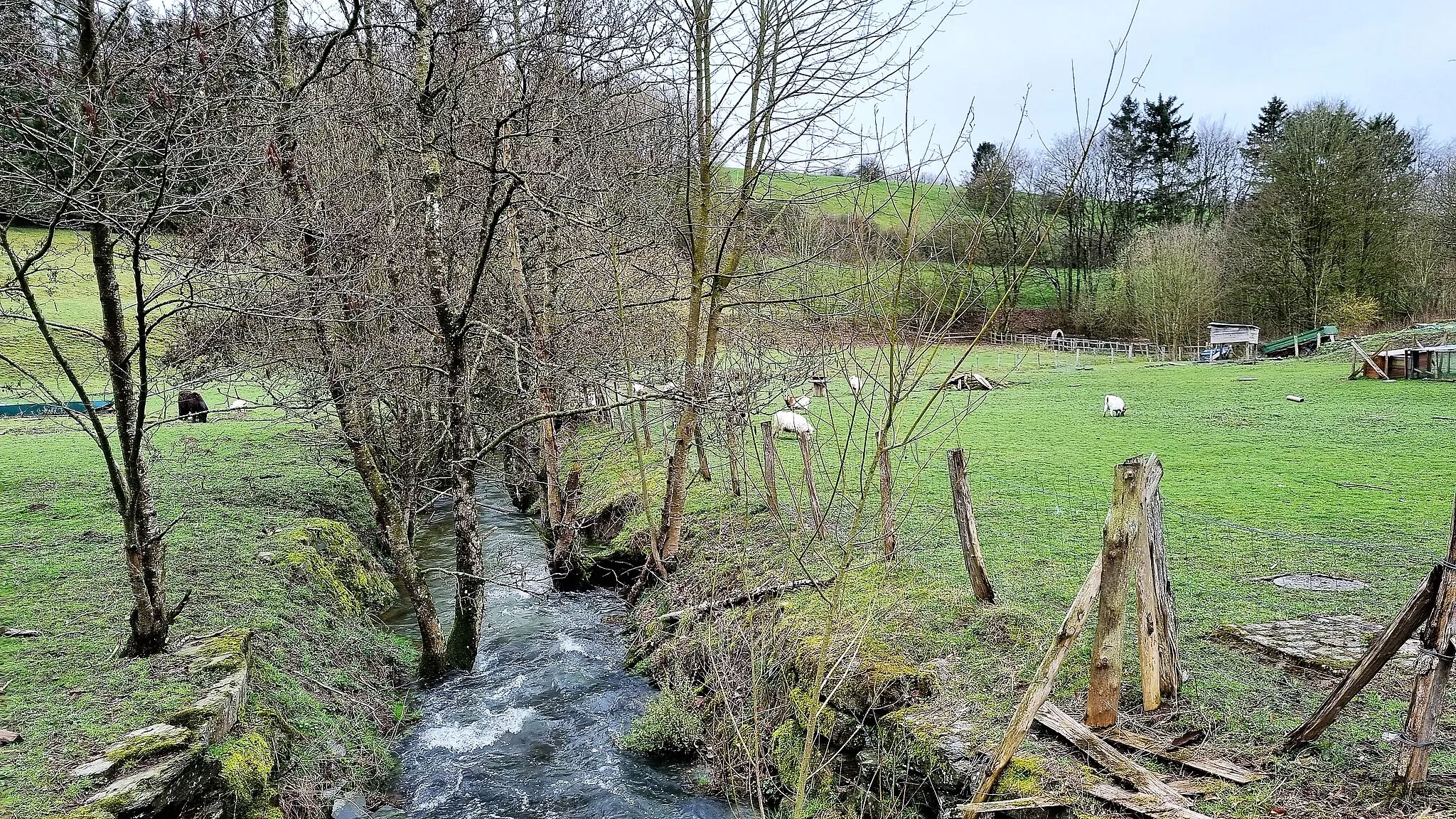 Photo showing: Harlange, commune de Lac-Haute-Sûre. Ruisseau « Hareler Baach »