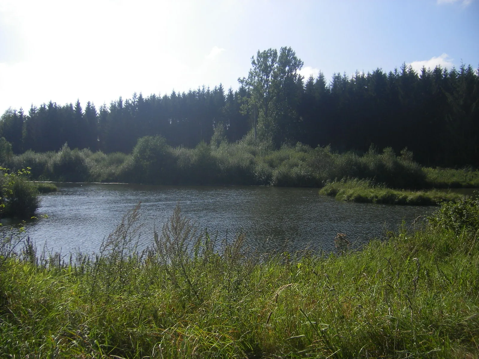 Photo showing: Landscape near Etalle (Luxembourg province)