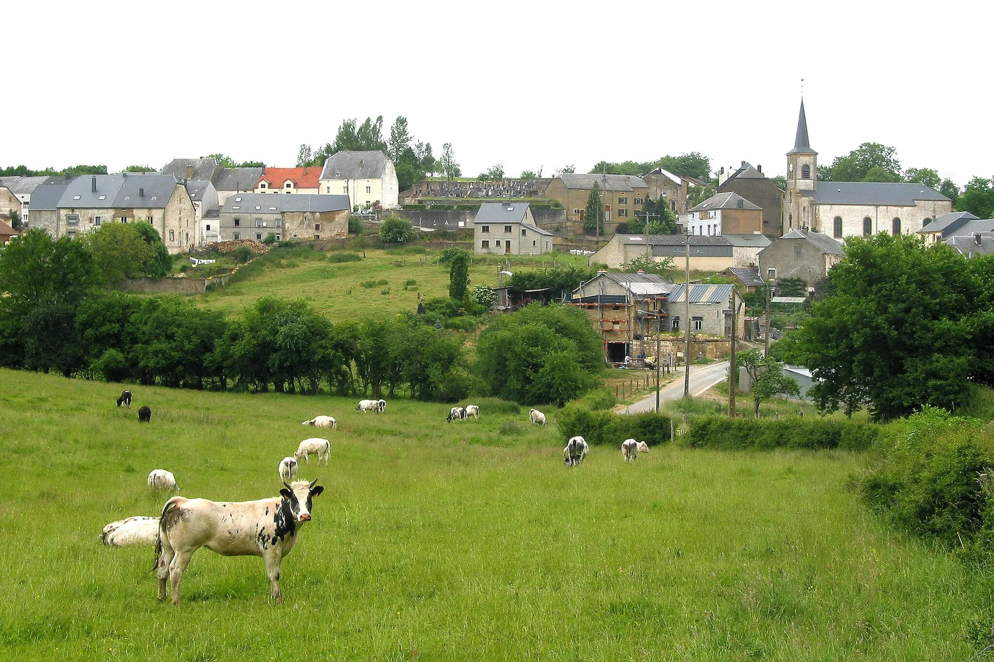 Photo showing: Villers-la-Loue (Belgium), the village in the springtime.