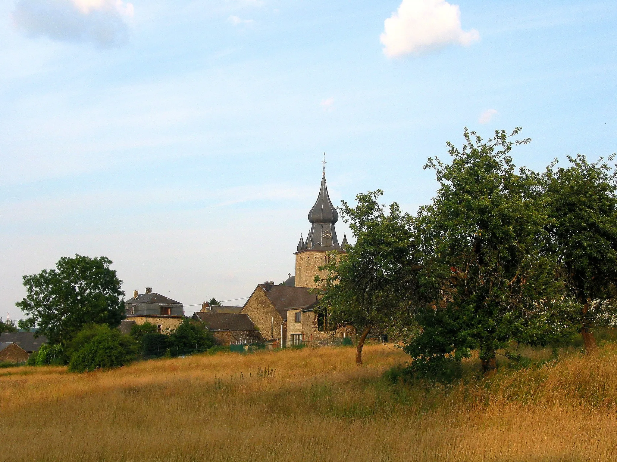 Photo showing: Lierneux, panorama sur le village.