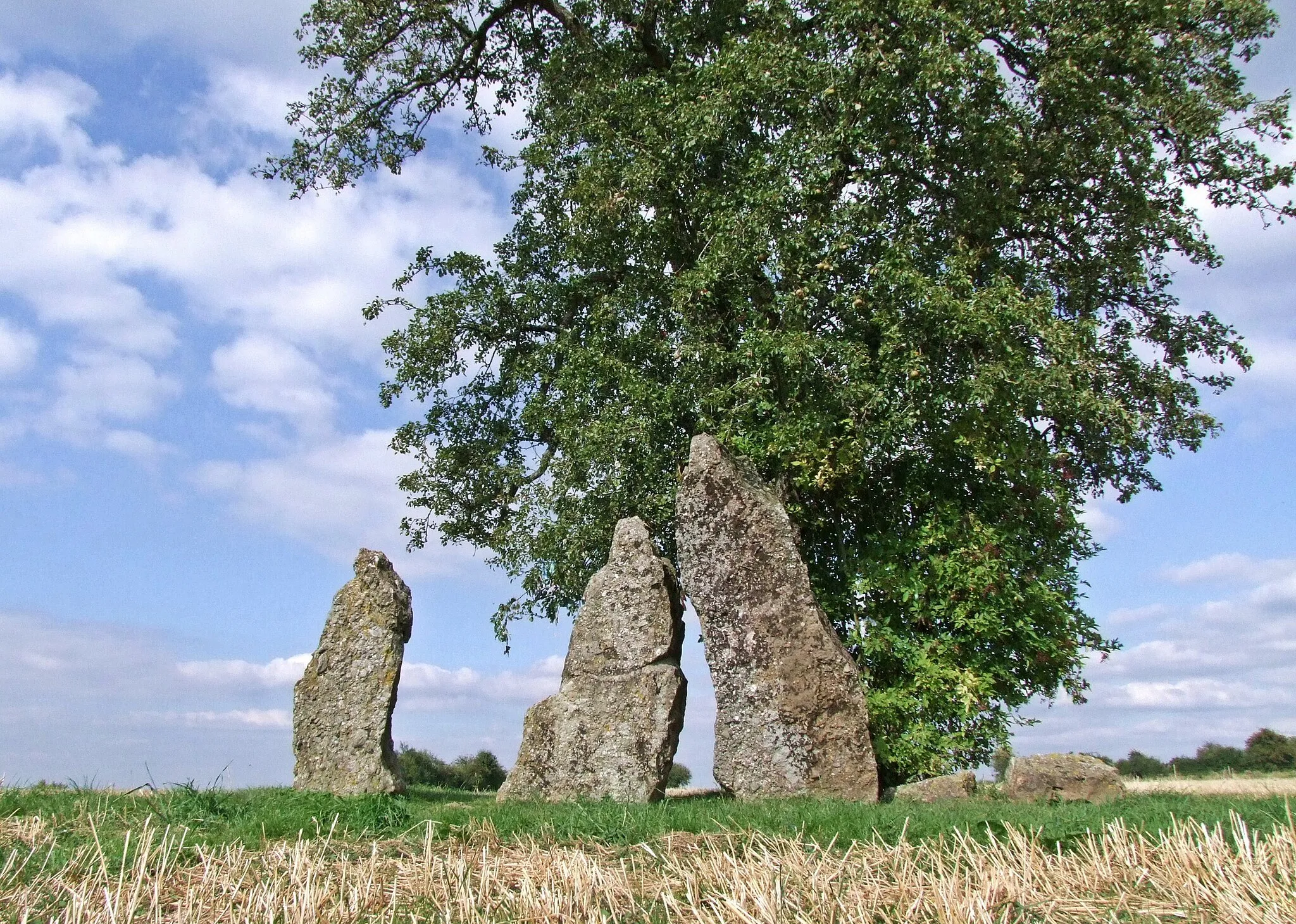 Photo showing: Wéris, Belgique : les menhirs d'Oppagne