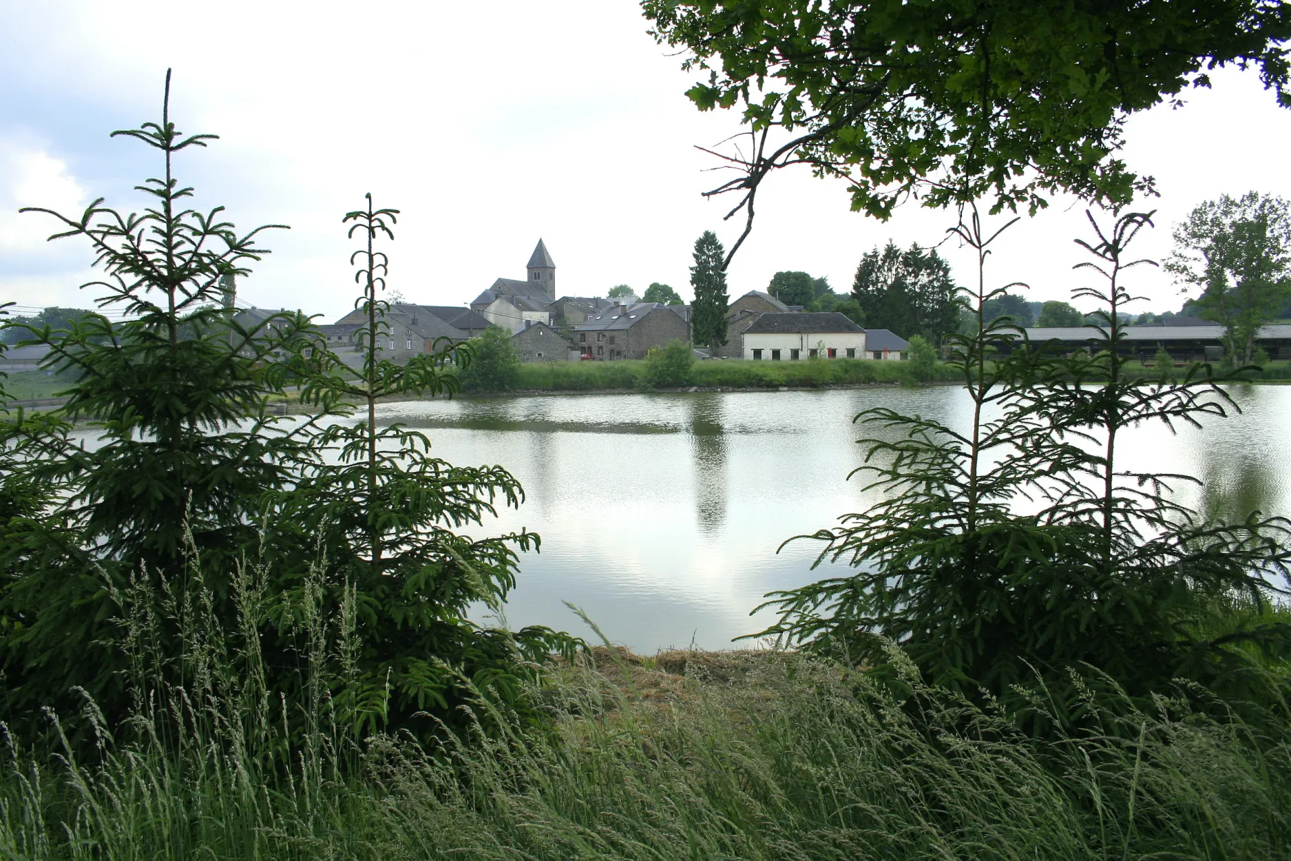 Photo showing: Naomé (Belgium),  the pond of the village.