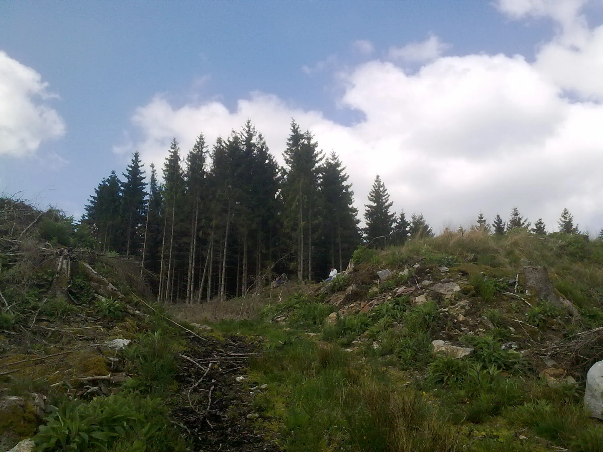 Photo showing: Site dit "du camp romain" sur la crête dominant l'Ourthe au Nord de Lavacherie, sur l'éperon de Baseilles. Traces de levées de terre significatives visibles dans le relief local. Selon A. Hock, fortin d'Ambiorix.