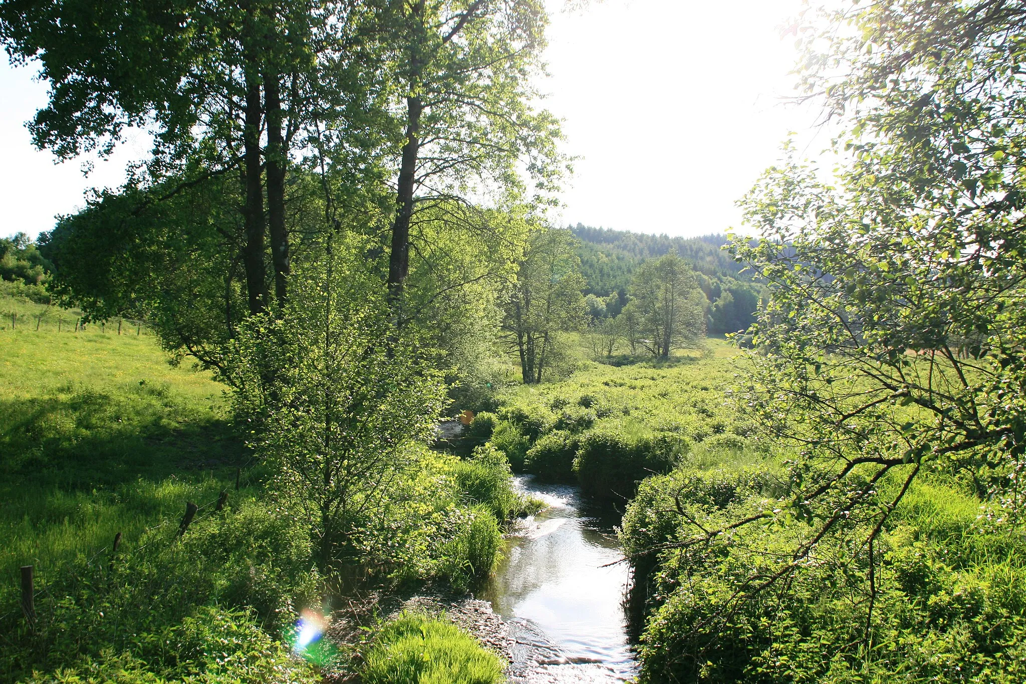 Photo showing: Ruisseau sur la frontière Belgique-Luxembourg