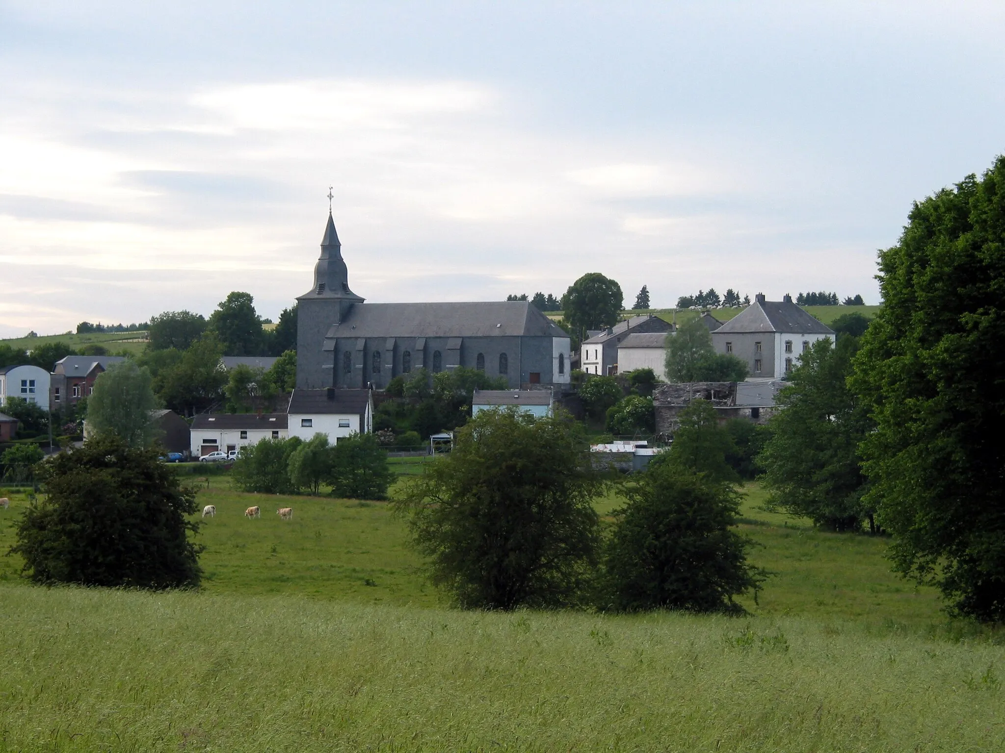 Photo showing: View on the village of Orgeo, Belgium, at the end of the day.