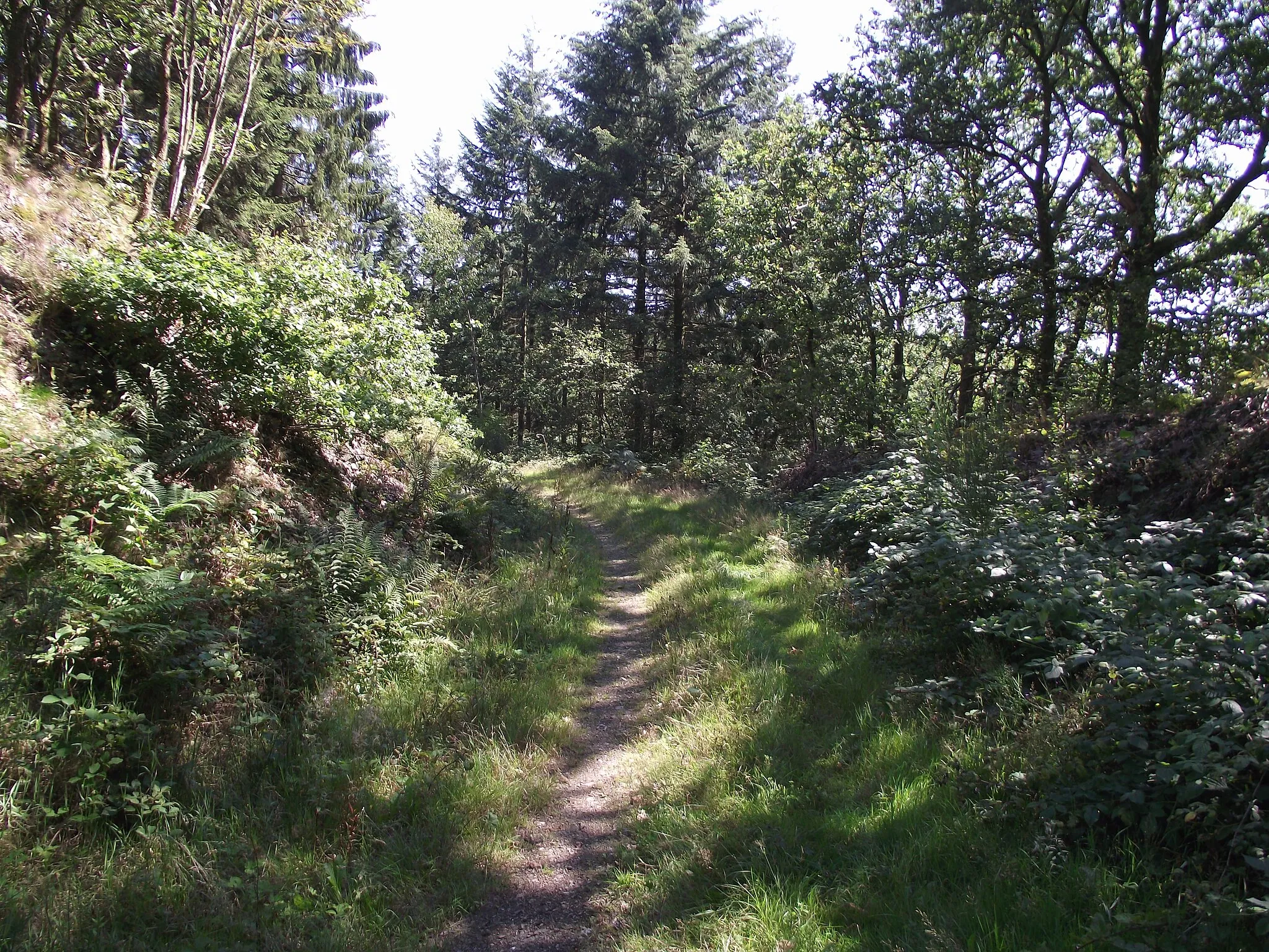 Photo showing: De ex-vicinal route descending to Bouillon