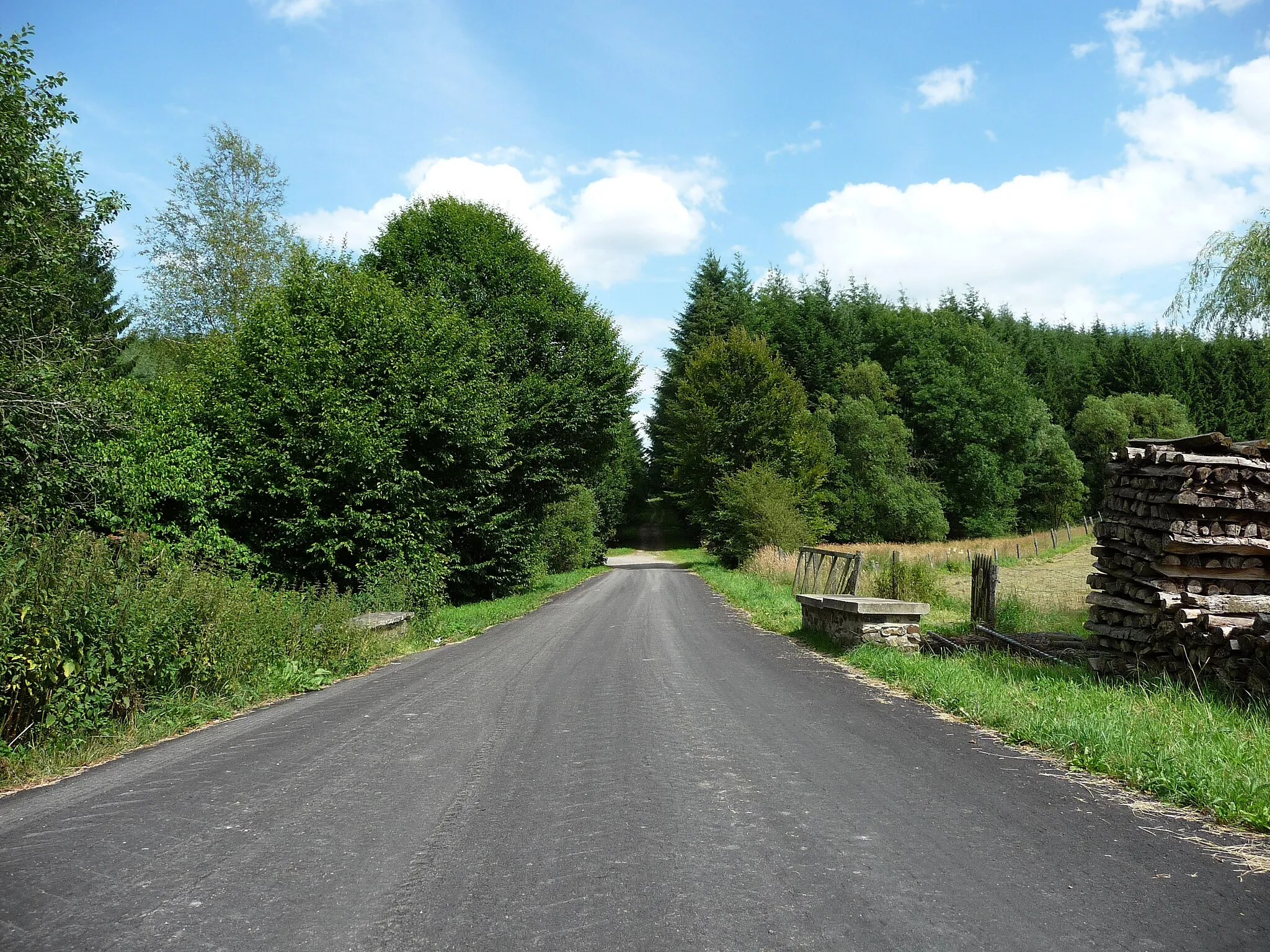 Photo showing: «Chaussée Marie-Thérèse» au village de Journal (commune de Tenneville, Belgique). Tronçon de la Chaussée qui au XVIIIe siècle reliait Namur à Luxembourg et que les Autrichiens empruntaient pour aller de Bruxelles à Vienne.