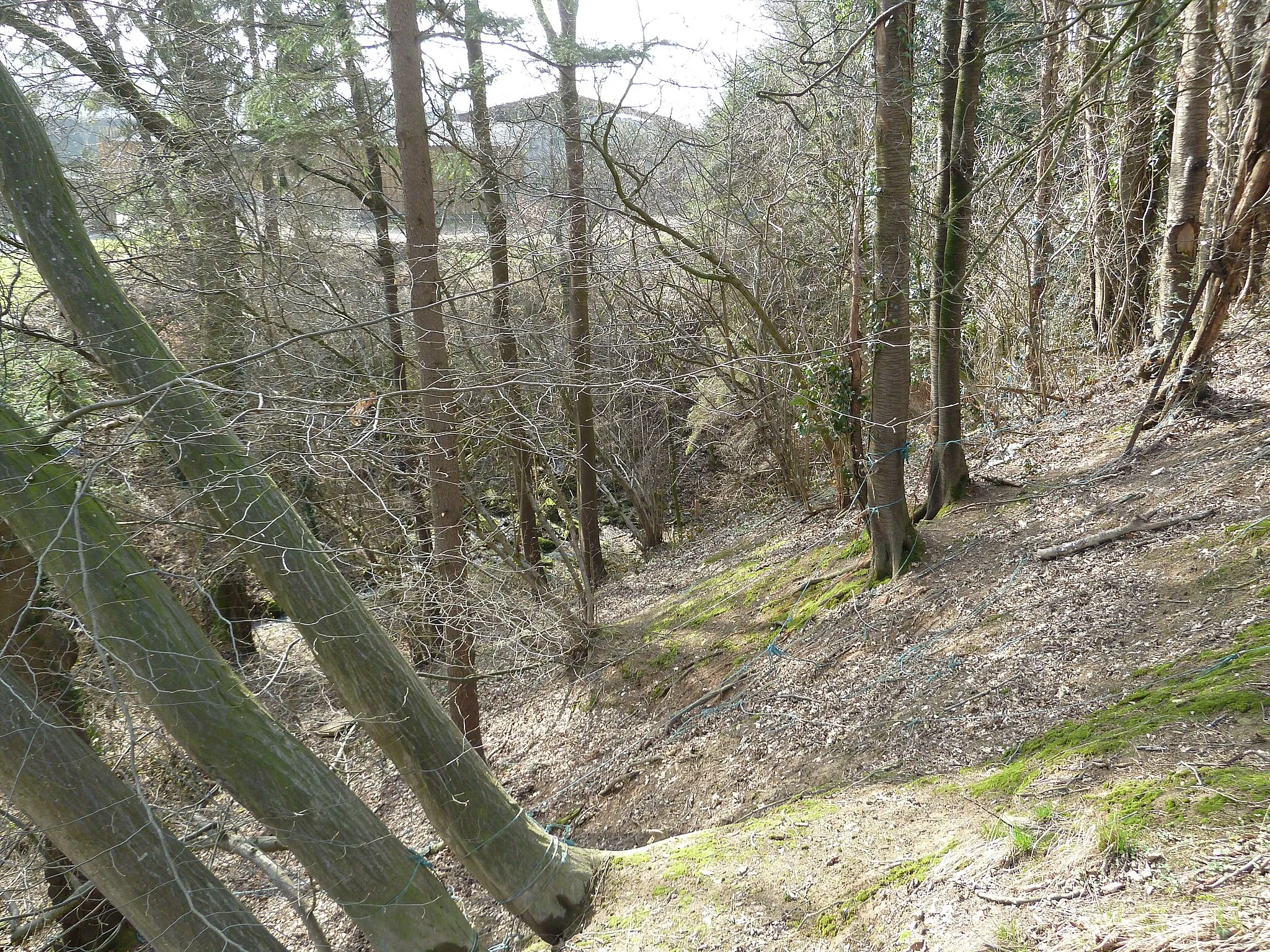 Photo showing: Chantoir near Filot, province Liège, Belgium