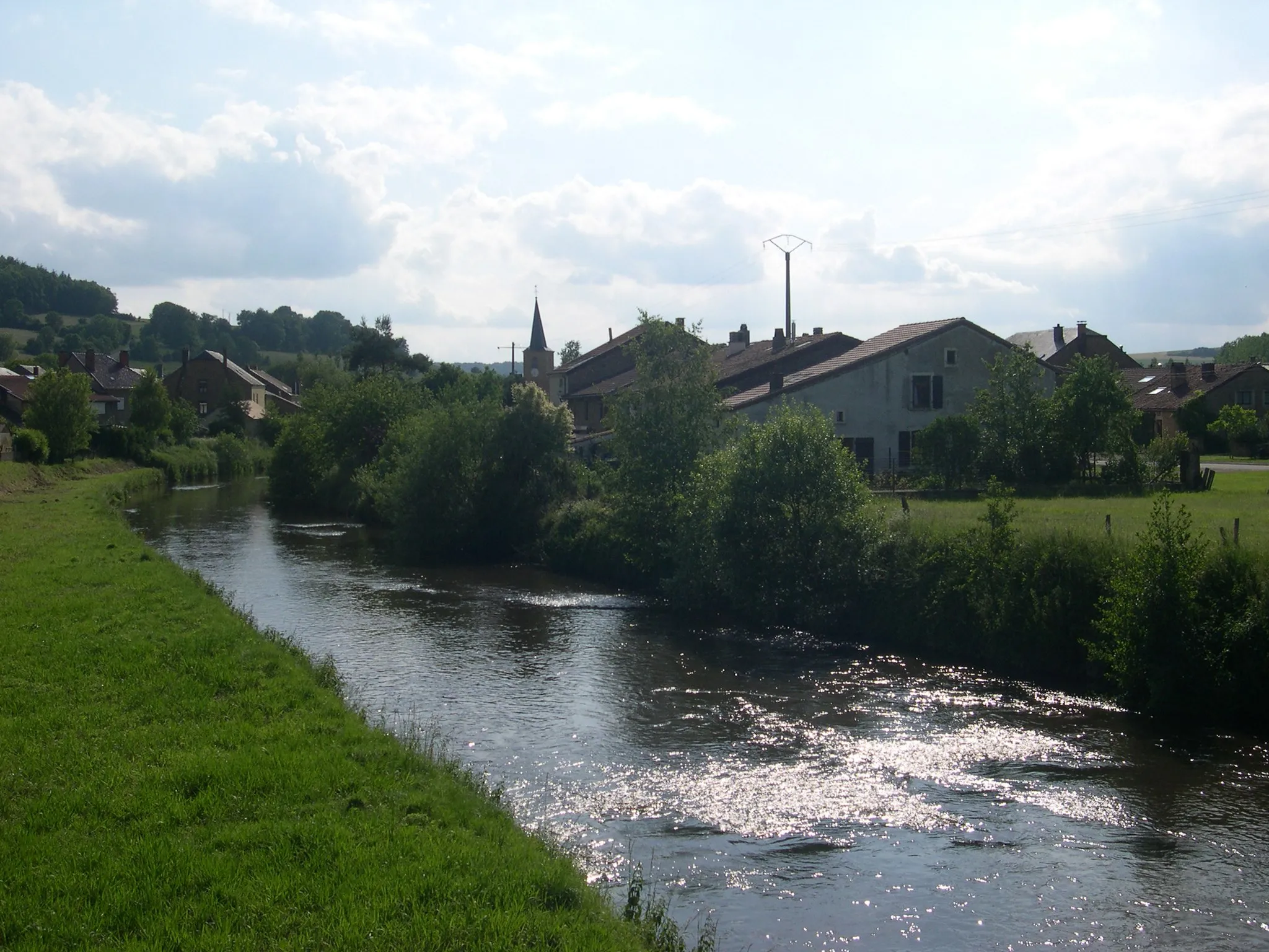 Photo showing: Détail du Ton (rivière) pris du pont de la rue du Régnier à Lamorteau