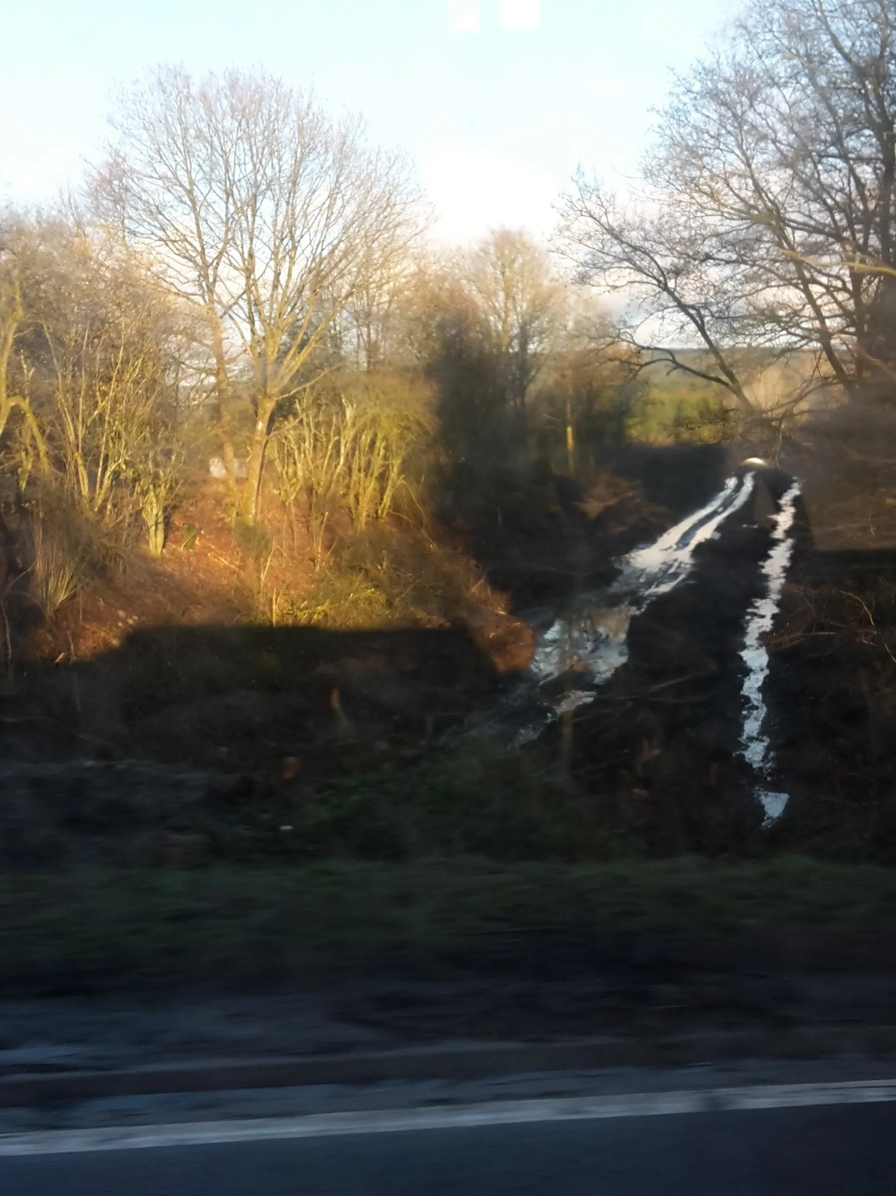 Photo showing: Trasse der früheren Bahnstrecke Vielsalm - Born (belgische Linie 47A) bei Poteau am Überweg der Straße N 675 von Petit-Thier nach Rodt, Zustand Februar 2017, Blick in Richtung Deutschland, Höhe ca. 450 m ü. NN. Nach Auskunft des Fahrers der hier verkehrenden TEC-Buslinie 401 (Vielsalm - St. Vith - Losheimergraben) wurde die Trasse an dieser Stelle in den vorangegangenen Monaten komplett gerodet, nachdem sie zuvor völlig zugewachsen war.