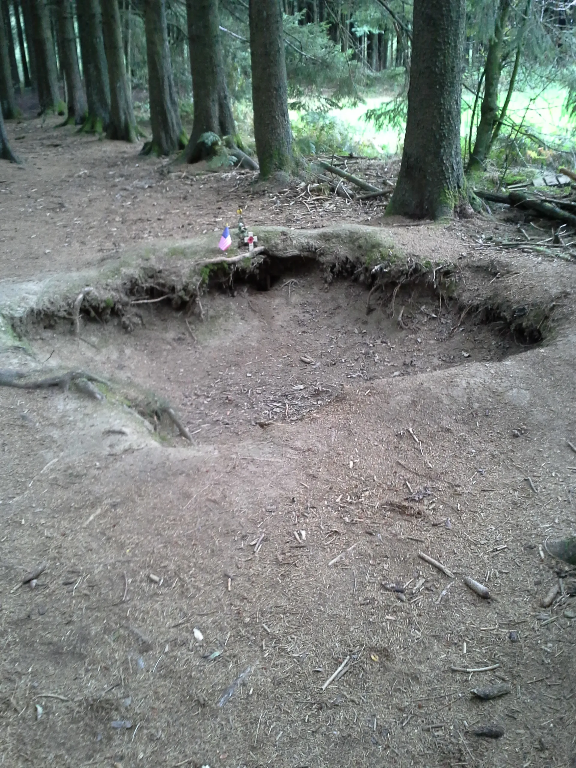 Photo showing: Foxholes in Bois Jacques