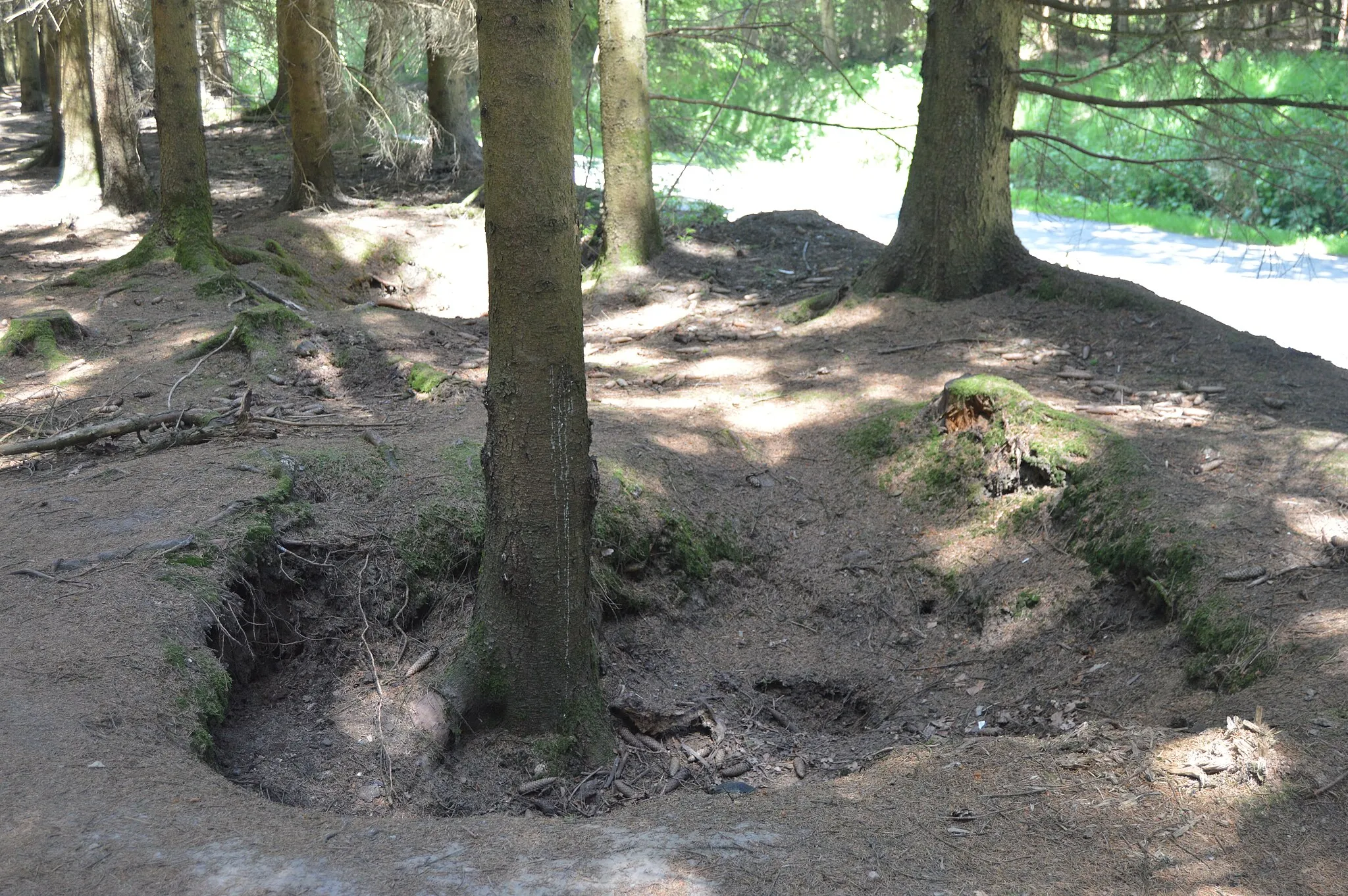 Photo showing: Foxholes in the Jacques Wood at Foy, Bastogne, Belgium. These holes were used by the Easy Company (101st Airbones Division) in December 1944 and January 1945 to defend Bastogne during the Battle of the Bulge. The place is evocated during episode 7 The Breaking Point of the TV minisery Band of Brothers