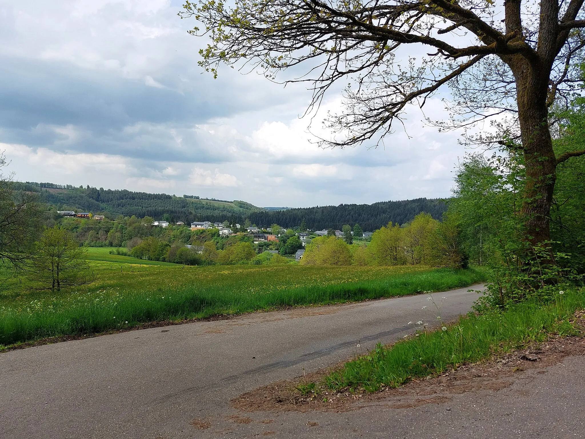 Photo showing: View to Grumelscheid village.