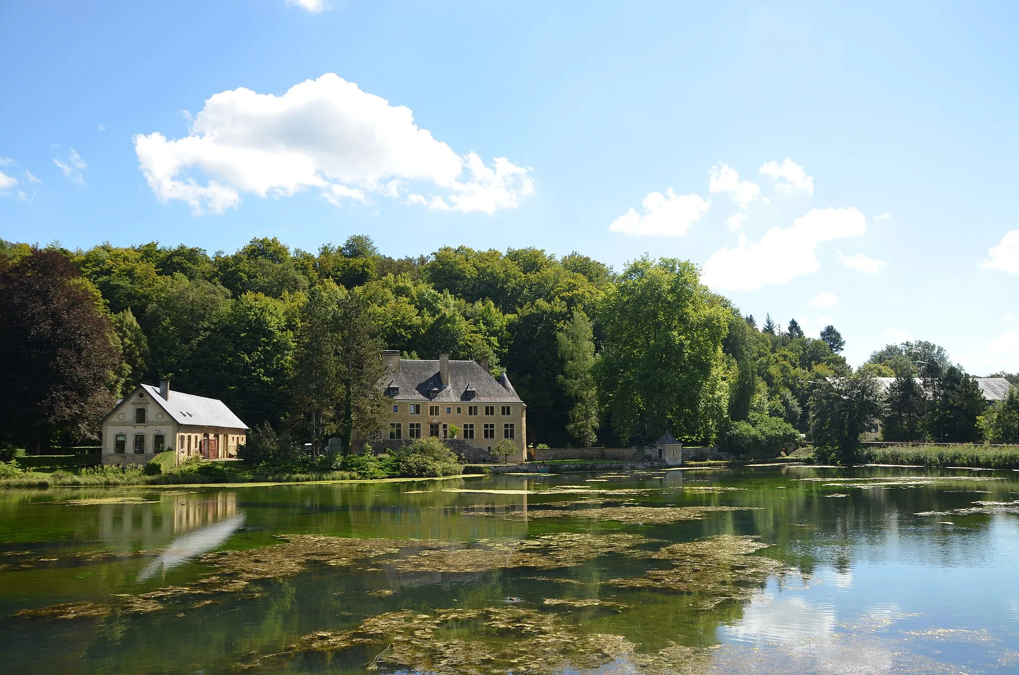 Photo showing: Chateau at Orval - Serenity and Reflection