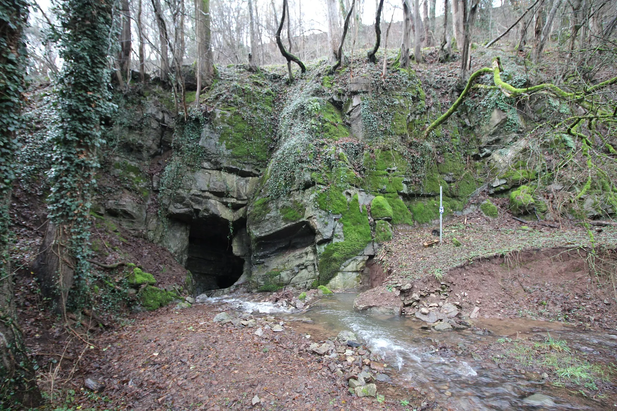 Photo showing: Ruisseau de Mainire disappearing underground through the Chantoire de Sècheval cave