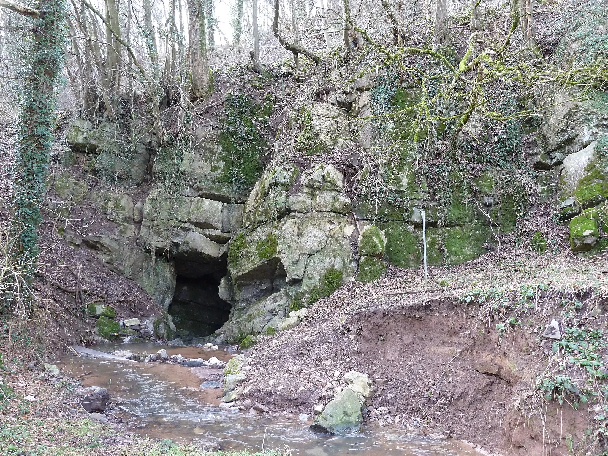 Photo showing: Chantoir near Secheval, province Liège, Belgium