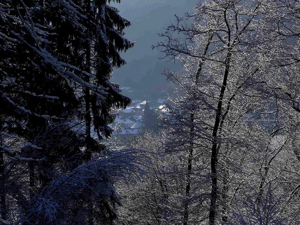 Photo showing: Bohan in de winter, foto genomen vanaf de noordelijke helling.