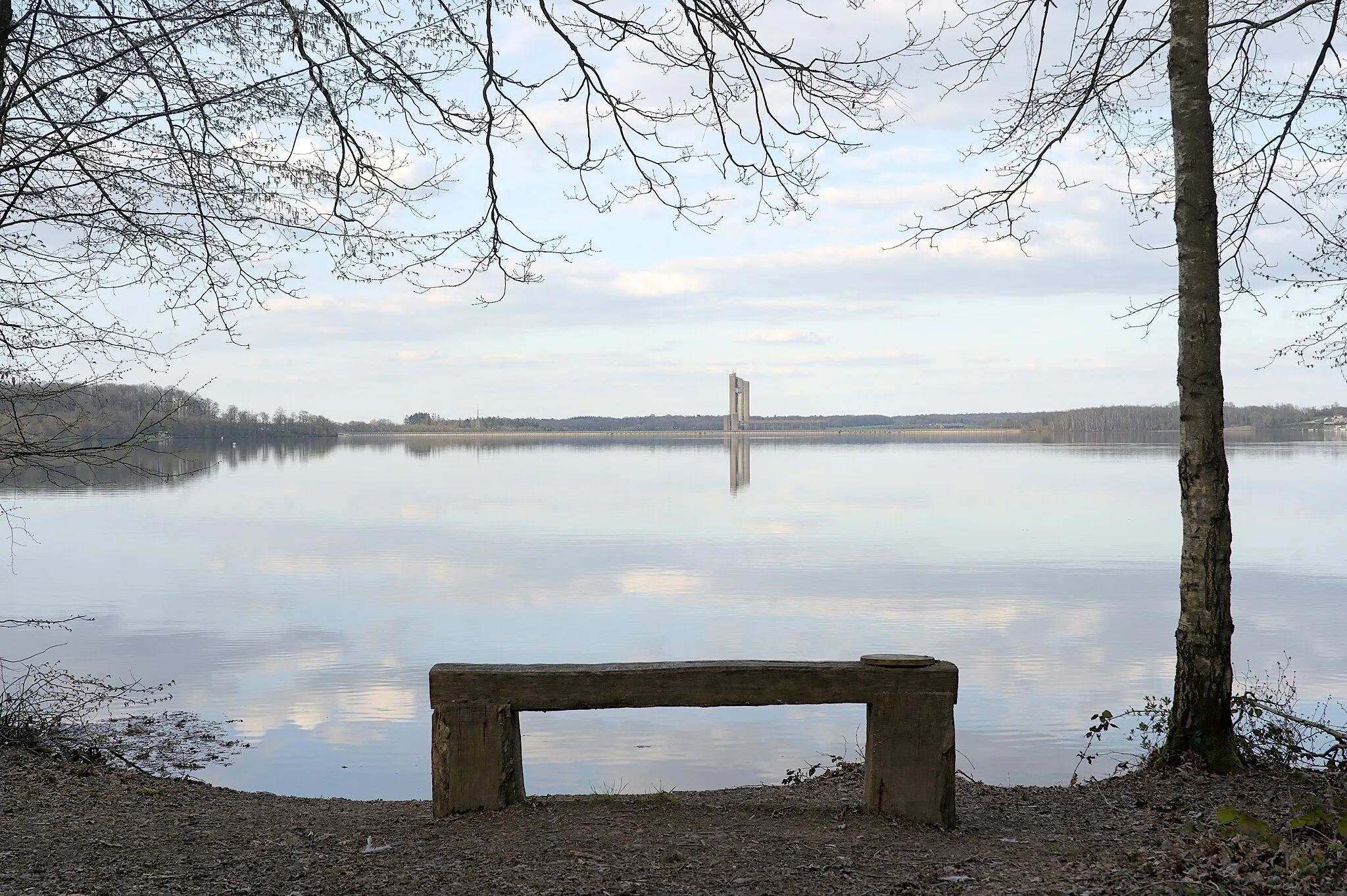 Photo showing: Lac de l'Eau d'Heure with Barrage de la Plate Taille visible in the background and a bench in the foreground (Froidchapelle, Belgium)
