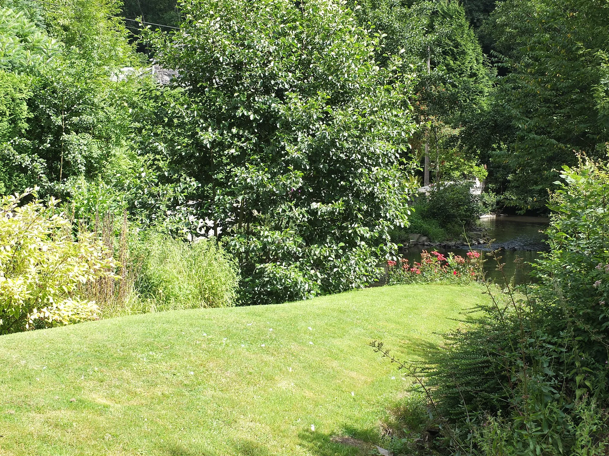 Photo showing: The valley of the river Samson in Goyet (Gesves), Wallonia, Belgium.