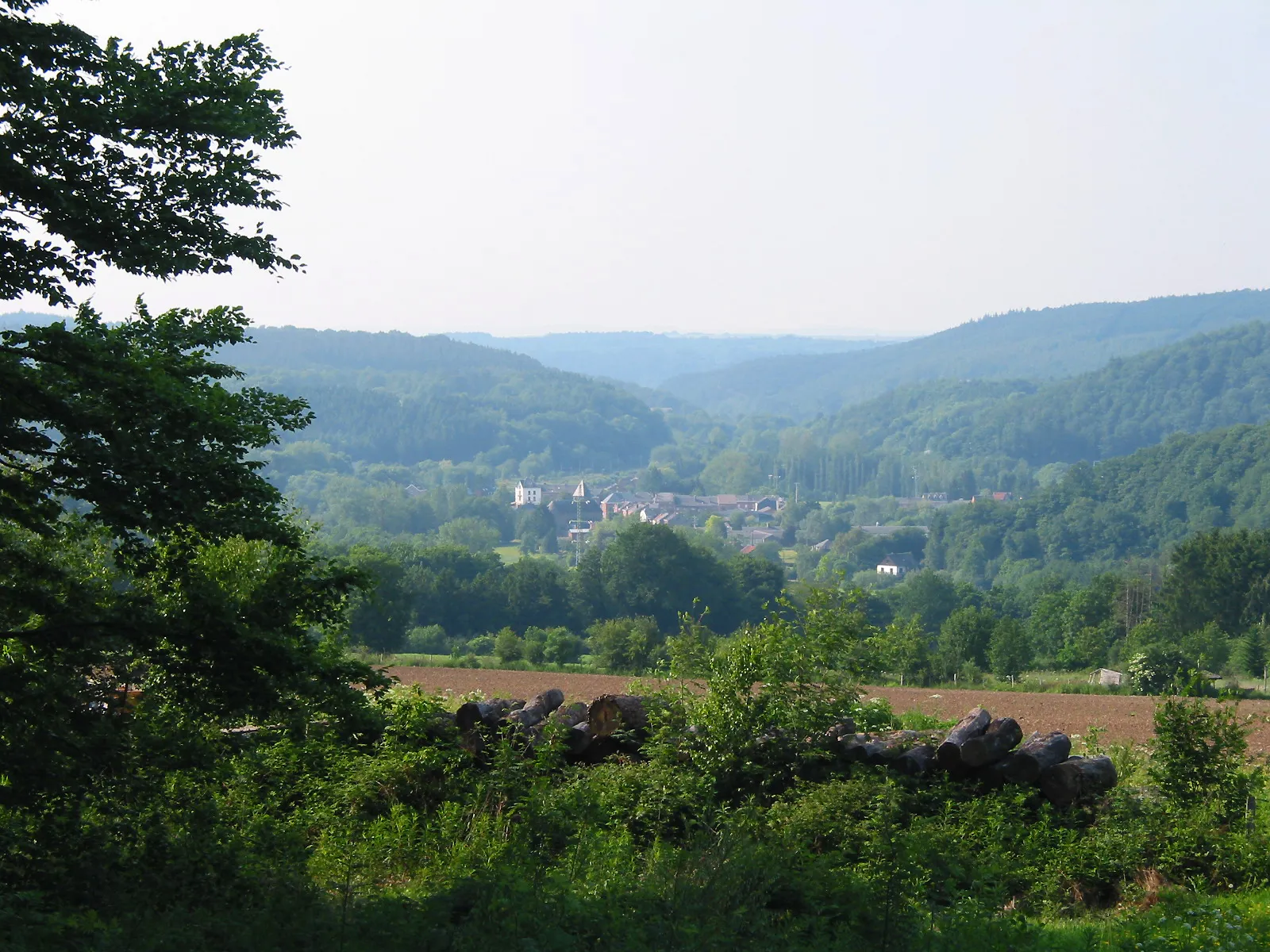 Photo showing: Forrières (Belgium), the village in the valley of the L’Homme river.