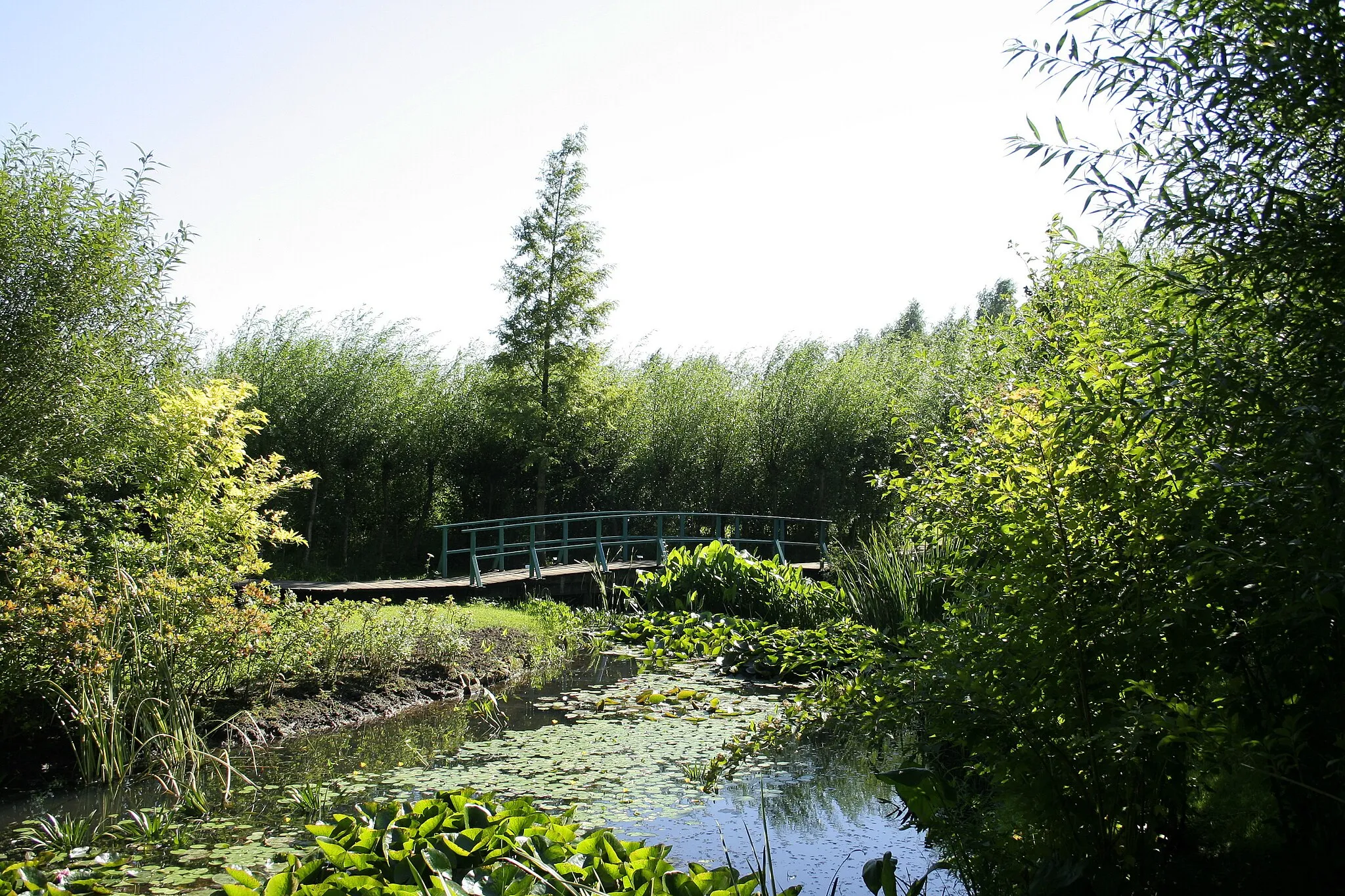 Photo showing: Fosses-la-Ville (Belgium), ornemental pond and little japanese bridge of the Bambois pond.