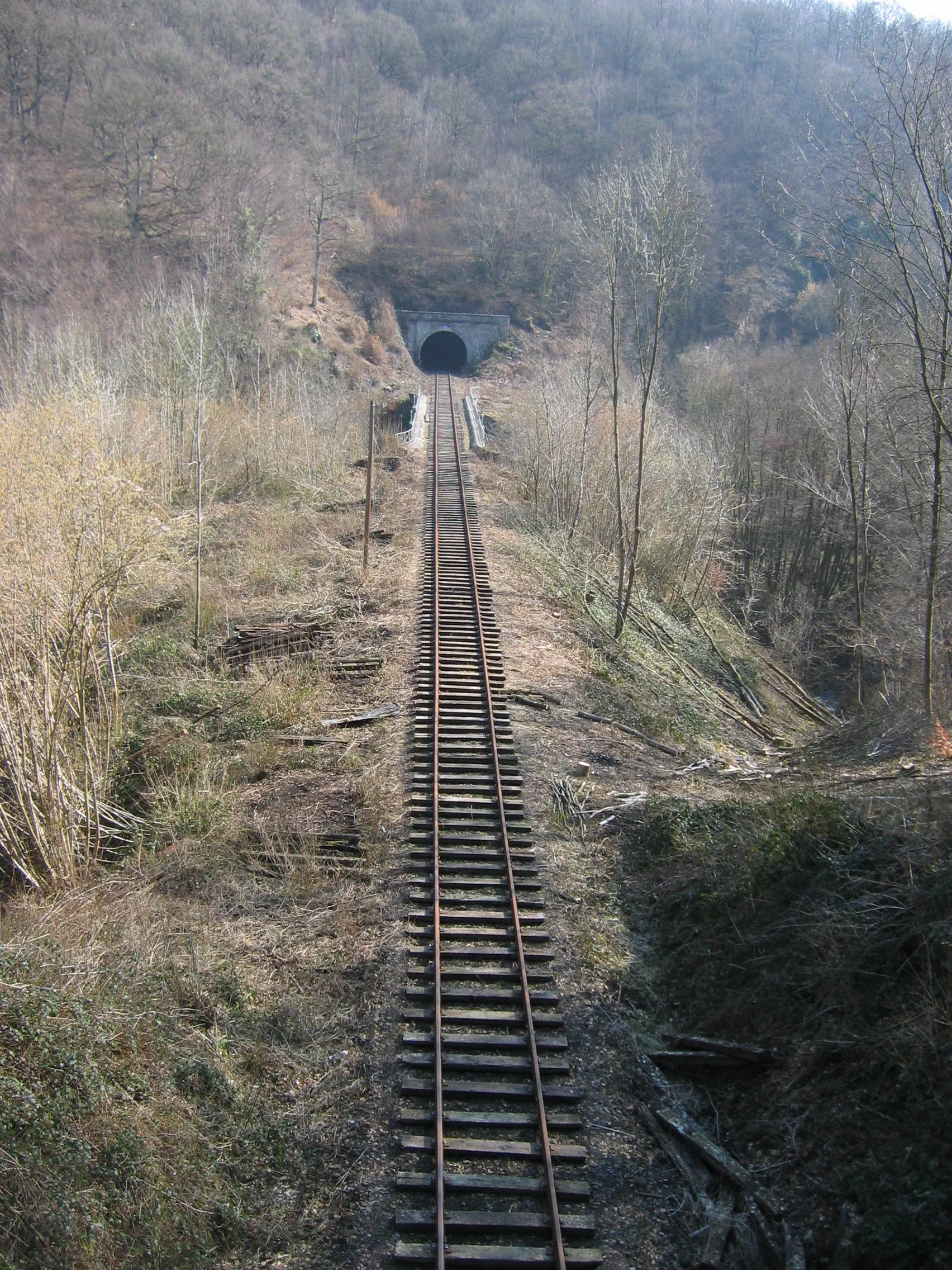 Photo showing: Belgian railway line 128 between Dorinne-Durnal and Purnode, undergoing track reconstruction. An old telephone pole is also visible.