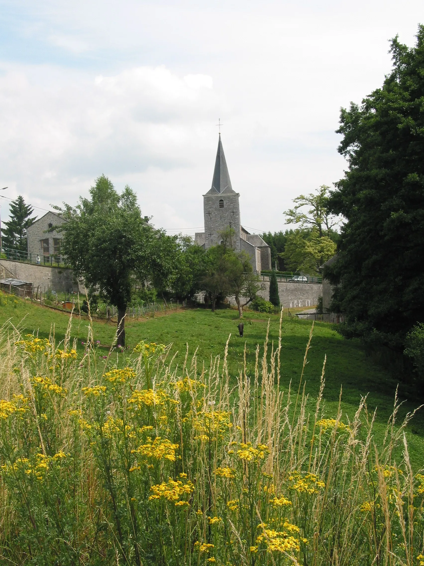 Photo showing: Hamois (Belgium), the Saint Peter’s church neighbourhood.