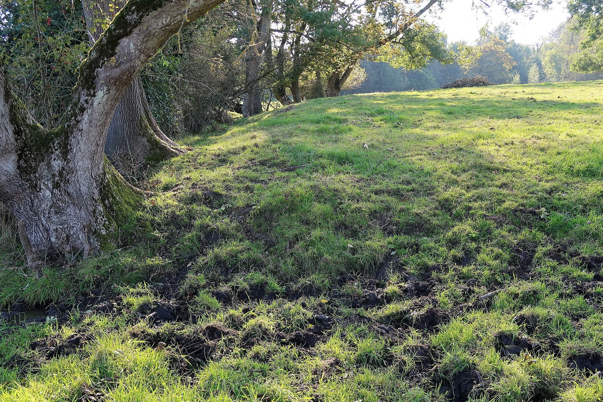 Photo showing: Motte Del Rigadrie,  motheuvel van middeleeuwse versterking, in Liernu (Éghezée) Kunstmatige ophoging waarop in de middeleeuwen een versterkte toren (donjon) stond.