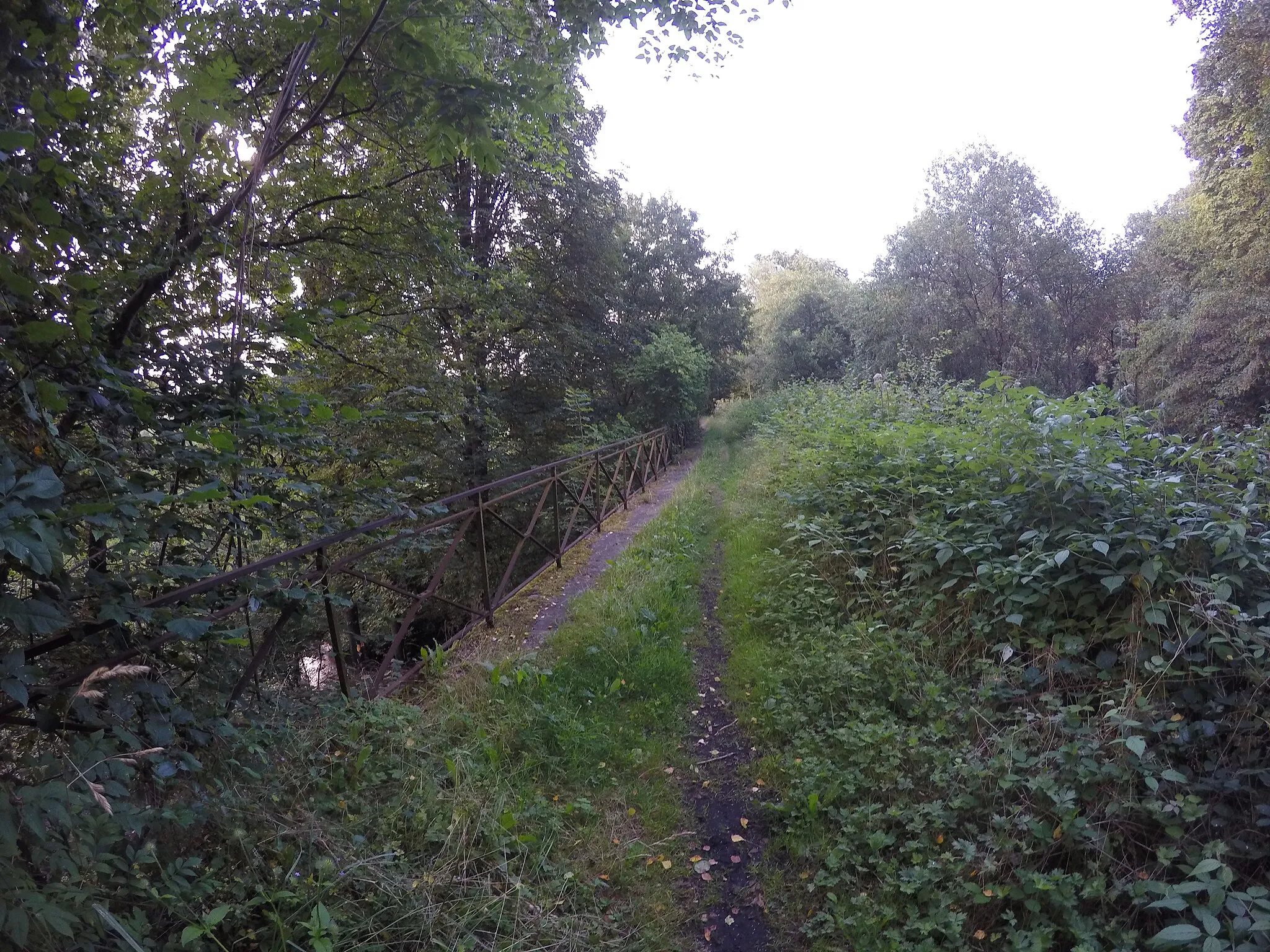 Photo showing: Ancien pont ferroviaire dit des "Sept Ponts" à Yves-Gomezée, il accueillait la ligne 132 de la SNCB avant que le tracé ne soit modifié