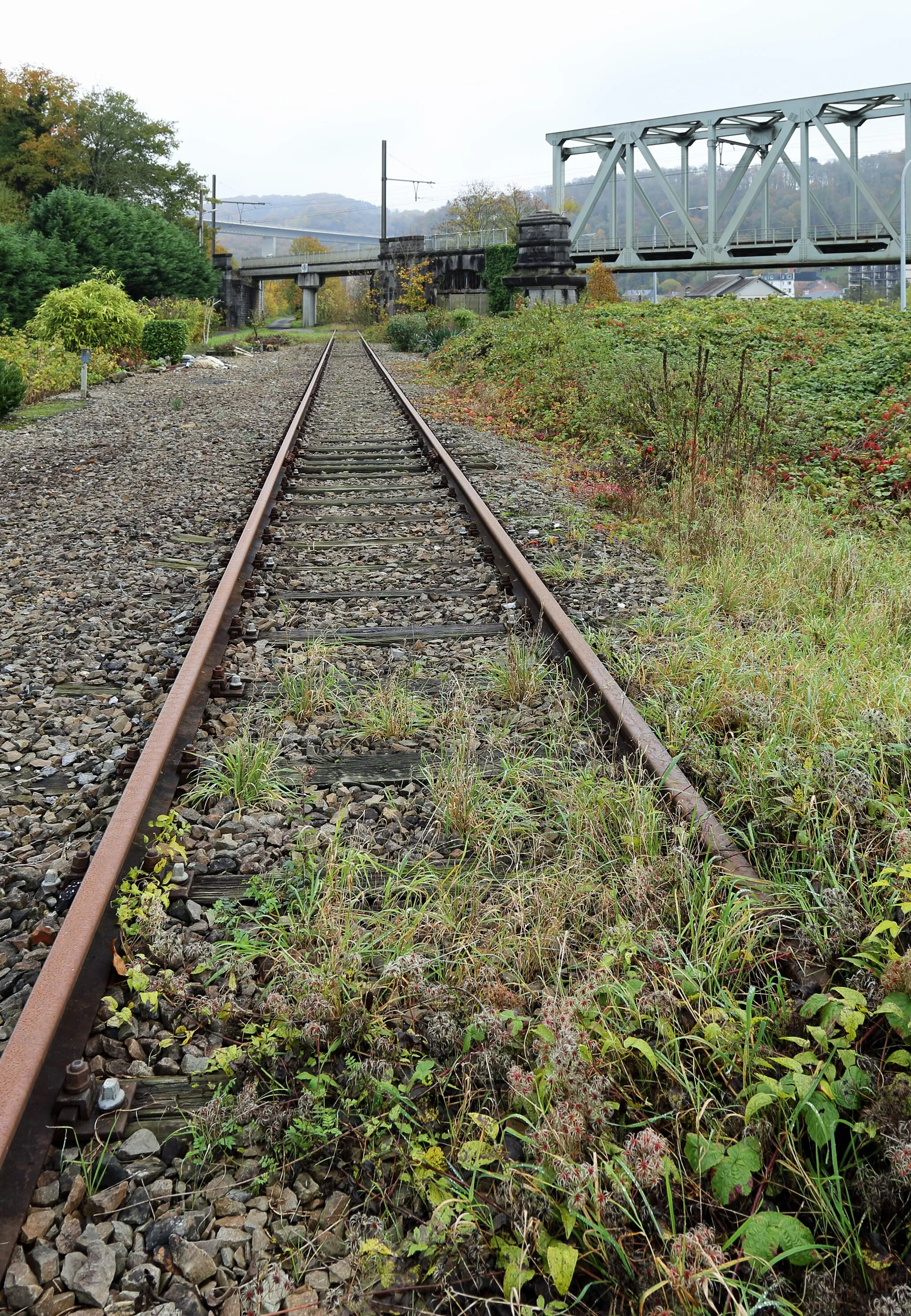 Photo showing: Belgian railway line 154 in Neffe (Dinant, Belgium): the Dinant-Givet (France) section, no longer in use. Right: the Anseremme railway bridge and line 166