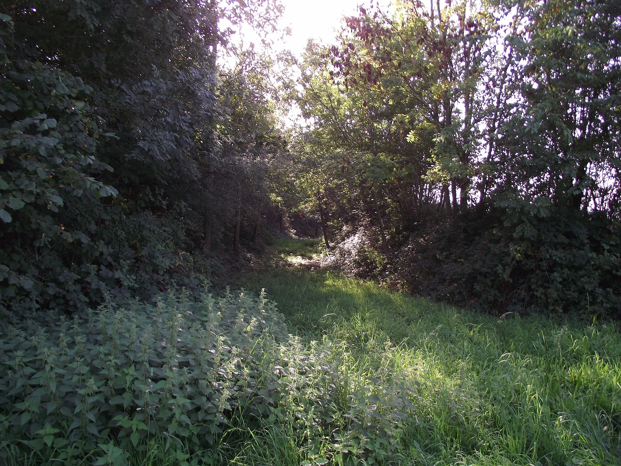 Photo showing: The ex-vicinal railway gains hight by doing loops. Here is crosses the main road.