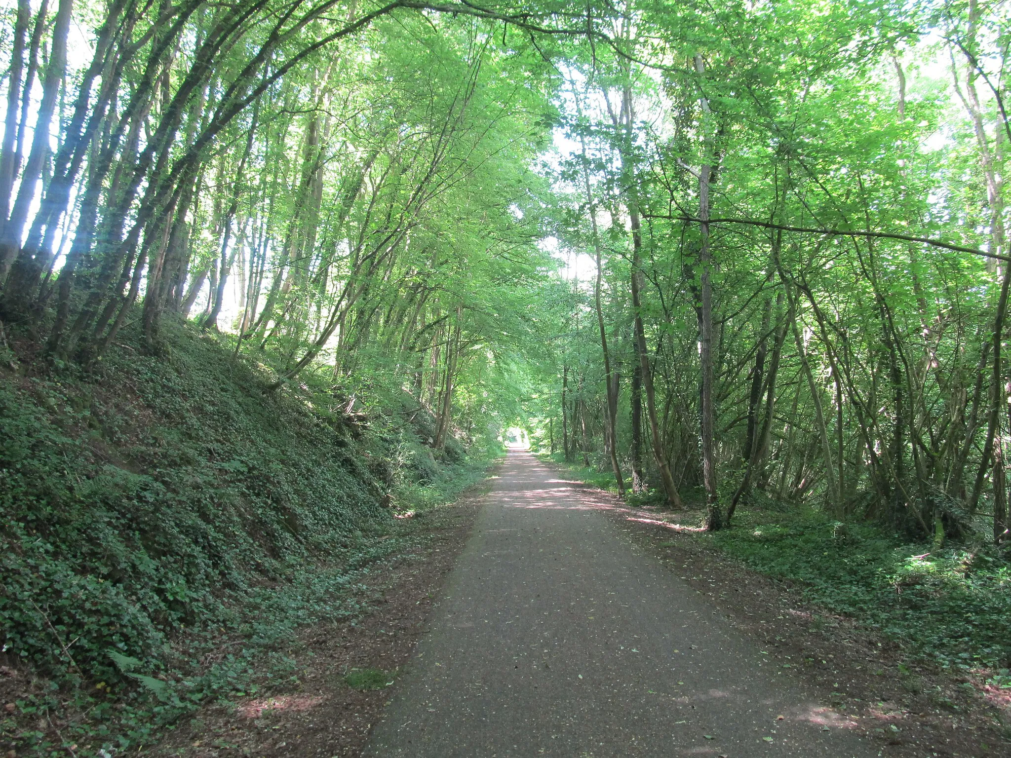 Photo showing: Section of the former 126 Statte – Ciney railway line in Belgium, near Fourneau train station. The line was converted into a bicycle track.