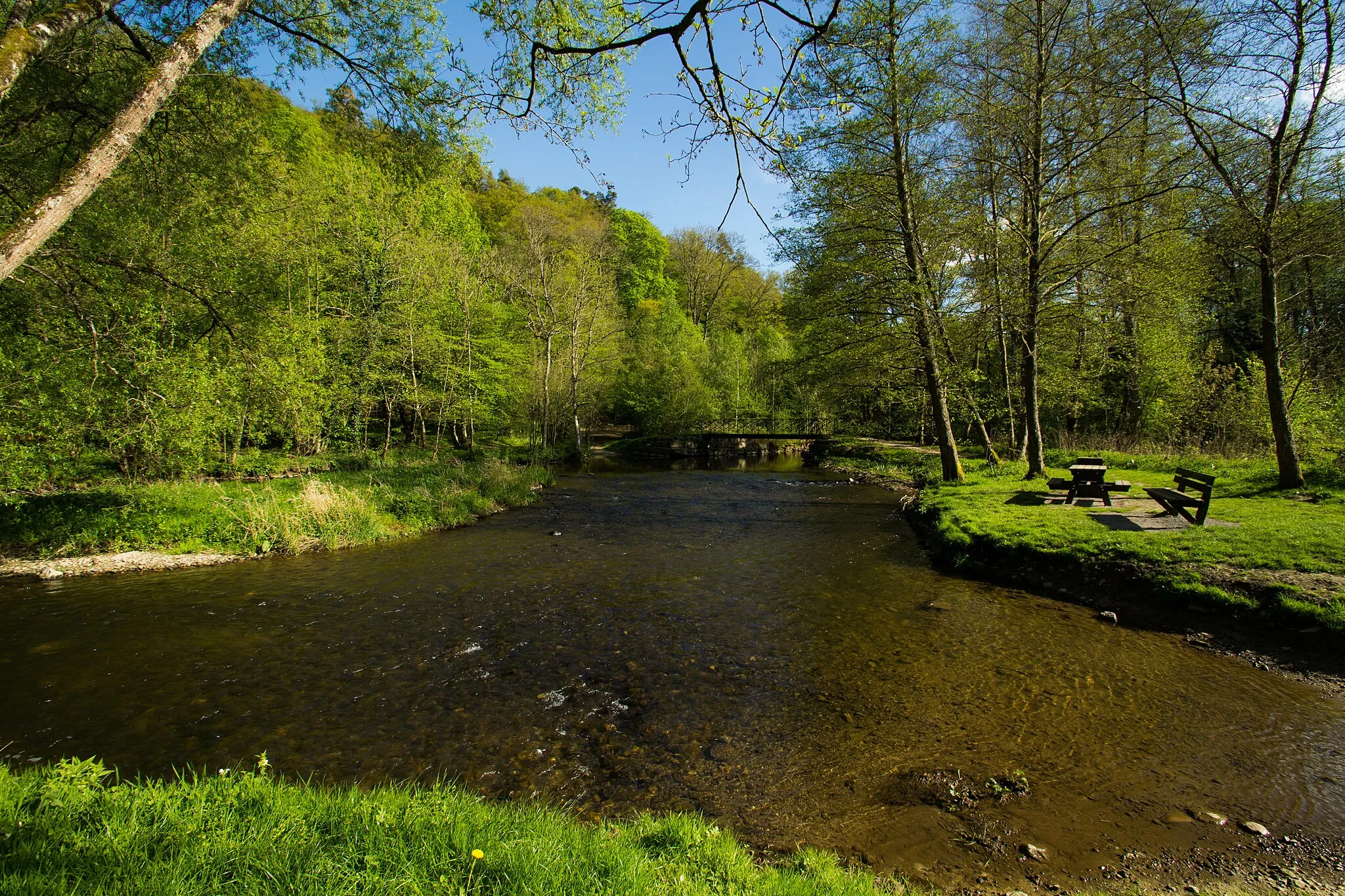 Photo showing: La rivière Lhomme à Mirwart