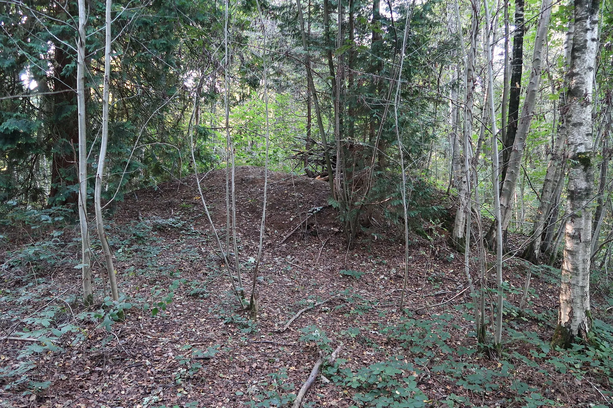 Photo showing: Tumuli de Frizet (in Vedrin deelgemeente van Namen). Twee Romeinse tumuli in het Bois des Tombes